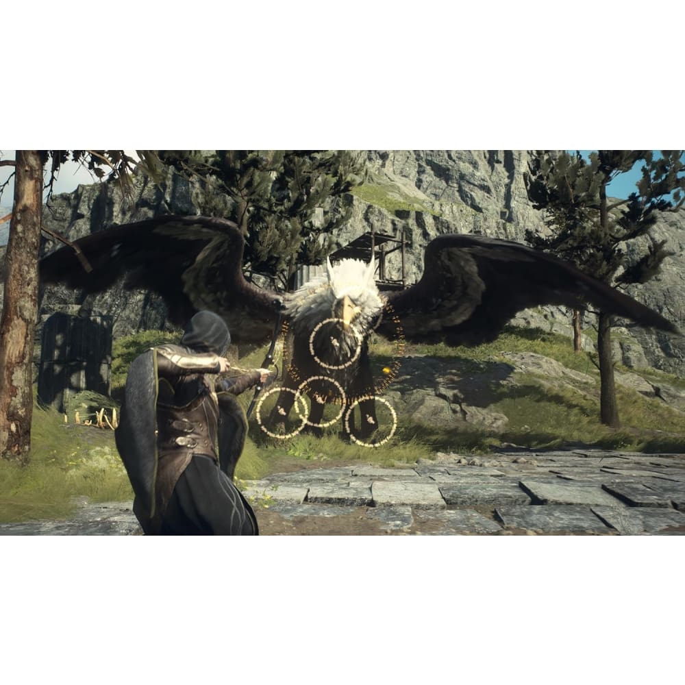 Dragon's Dogma 2