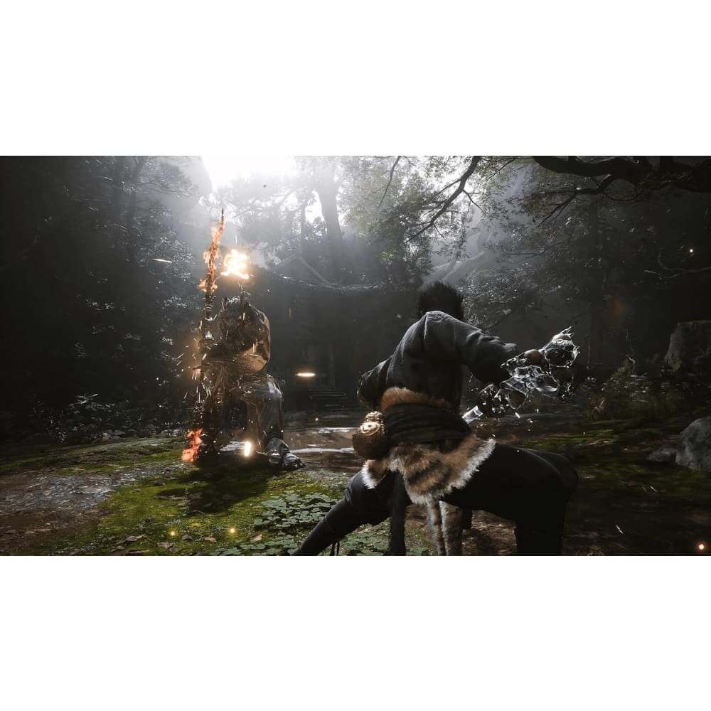Black Myth: Wukong Deluxe Edition PS5 - NEW