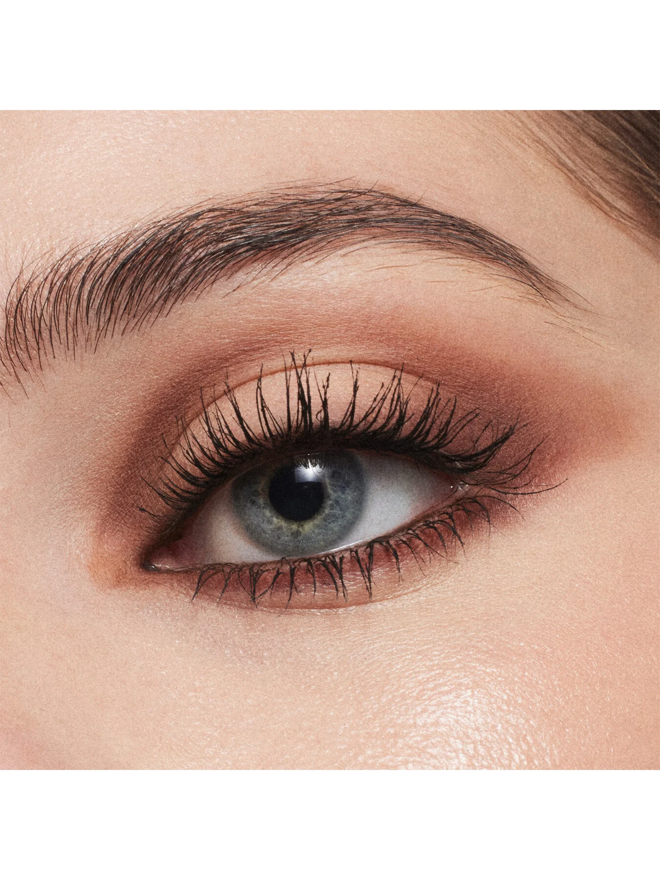 Connect In Colour x6 Eye Shadow Palette