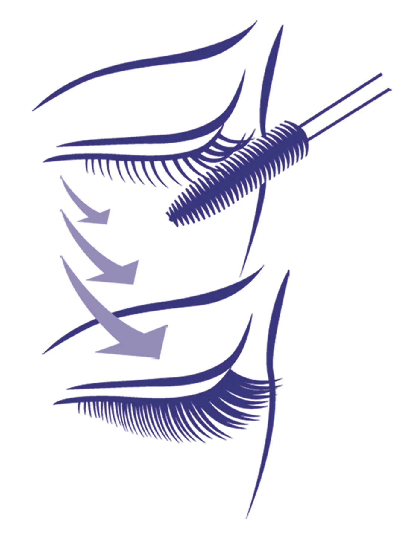 Double Lash
