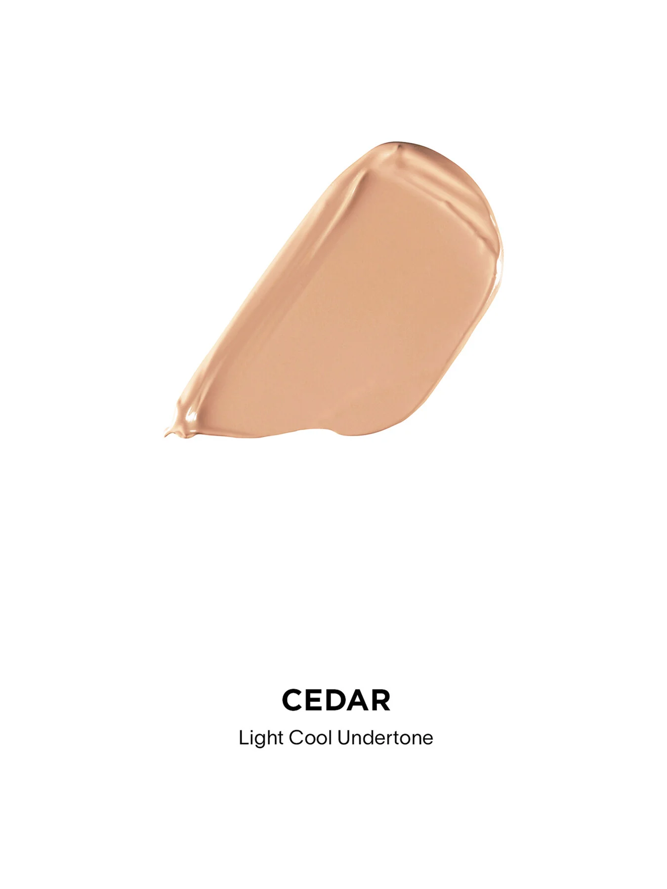 Vanish™ Airbrush Concealer