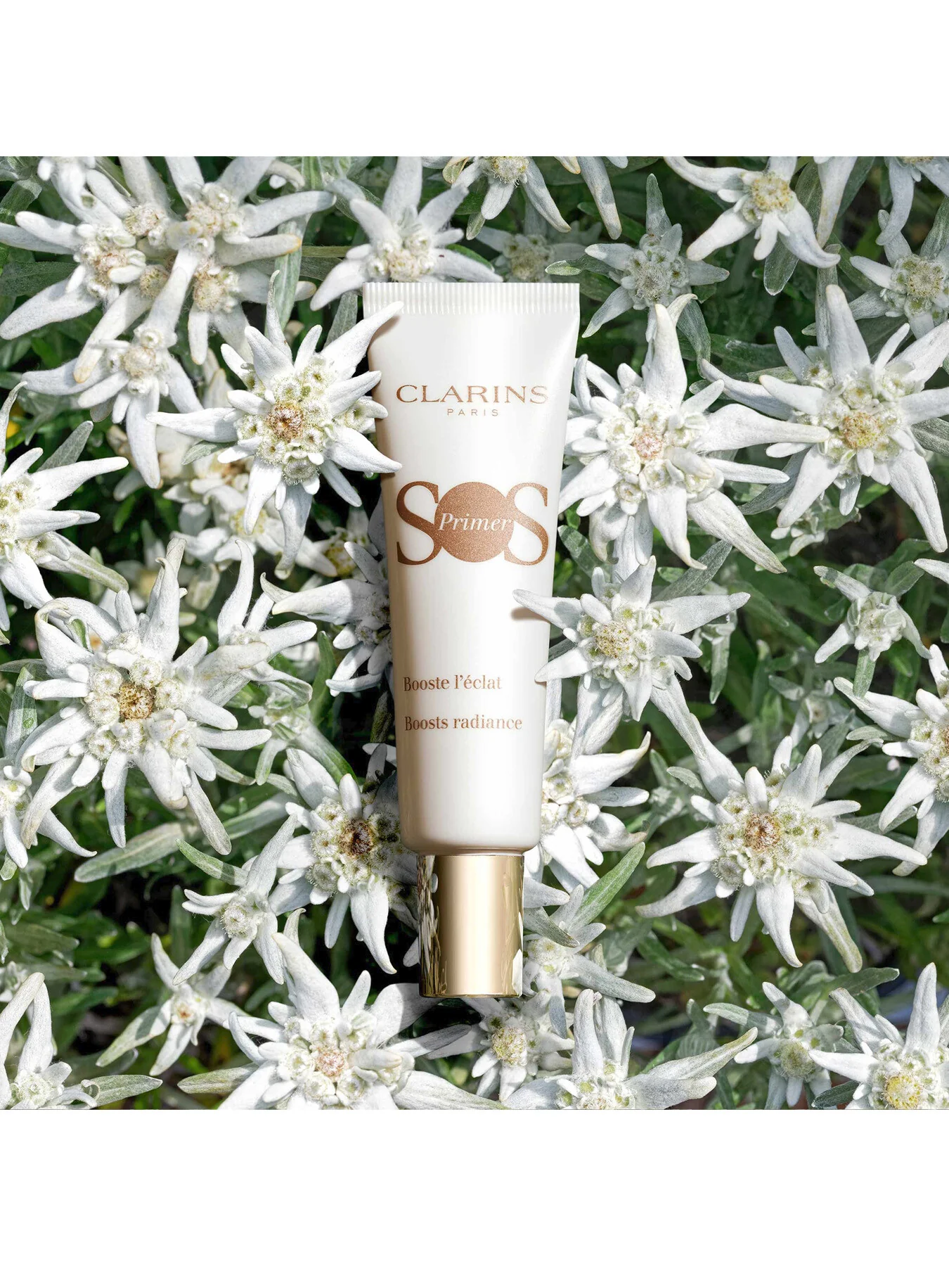 SOS Primer Limited Edition