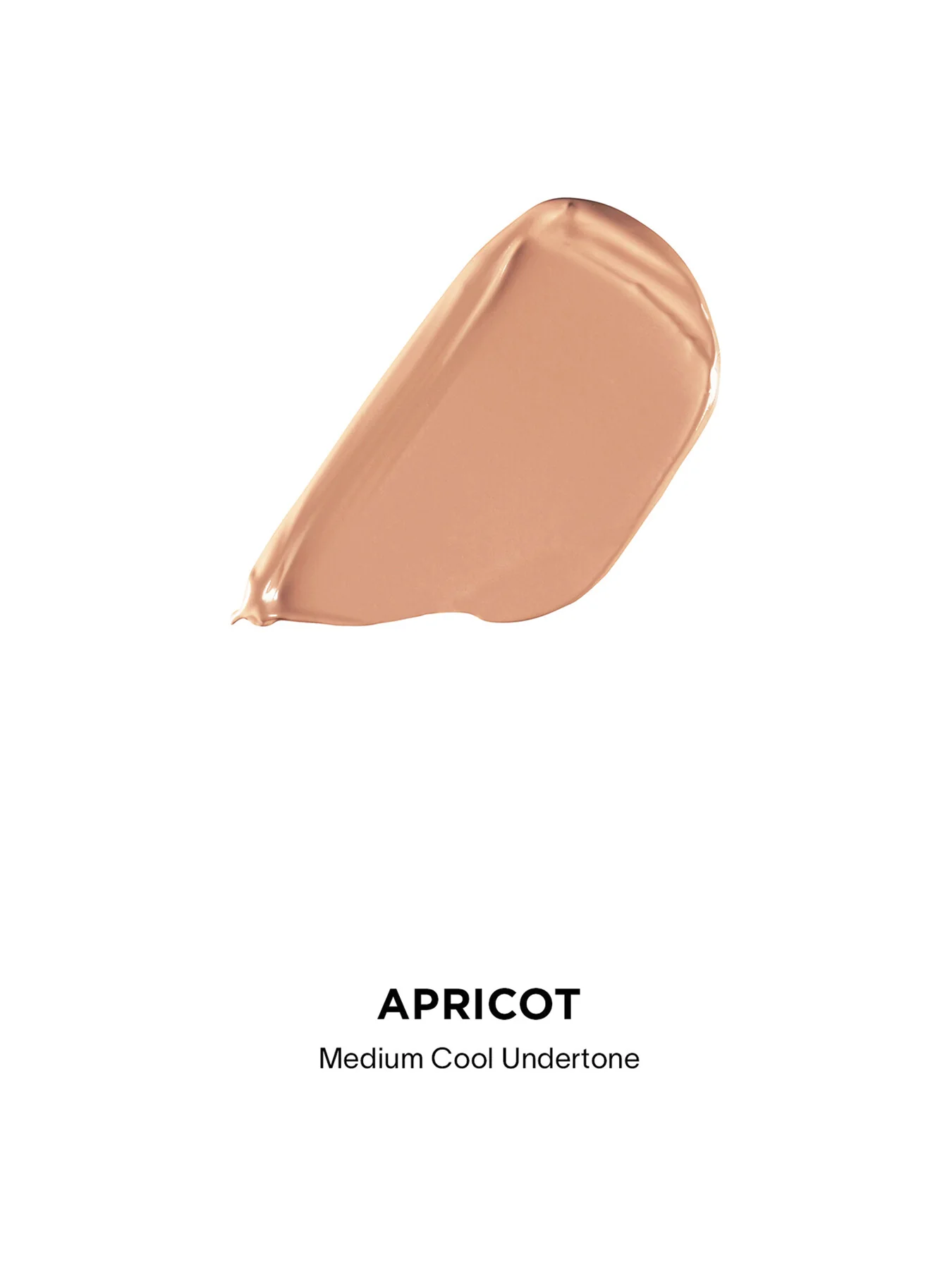 Vanish™ Airbrush Concealer