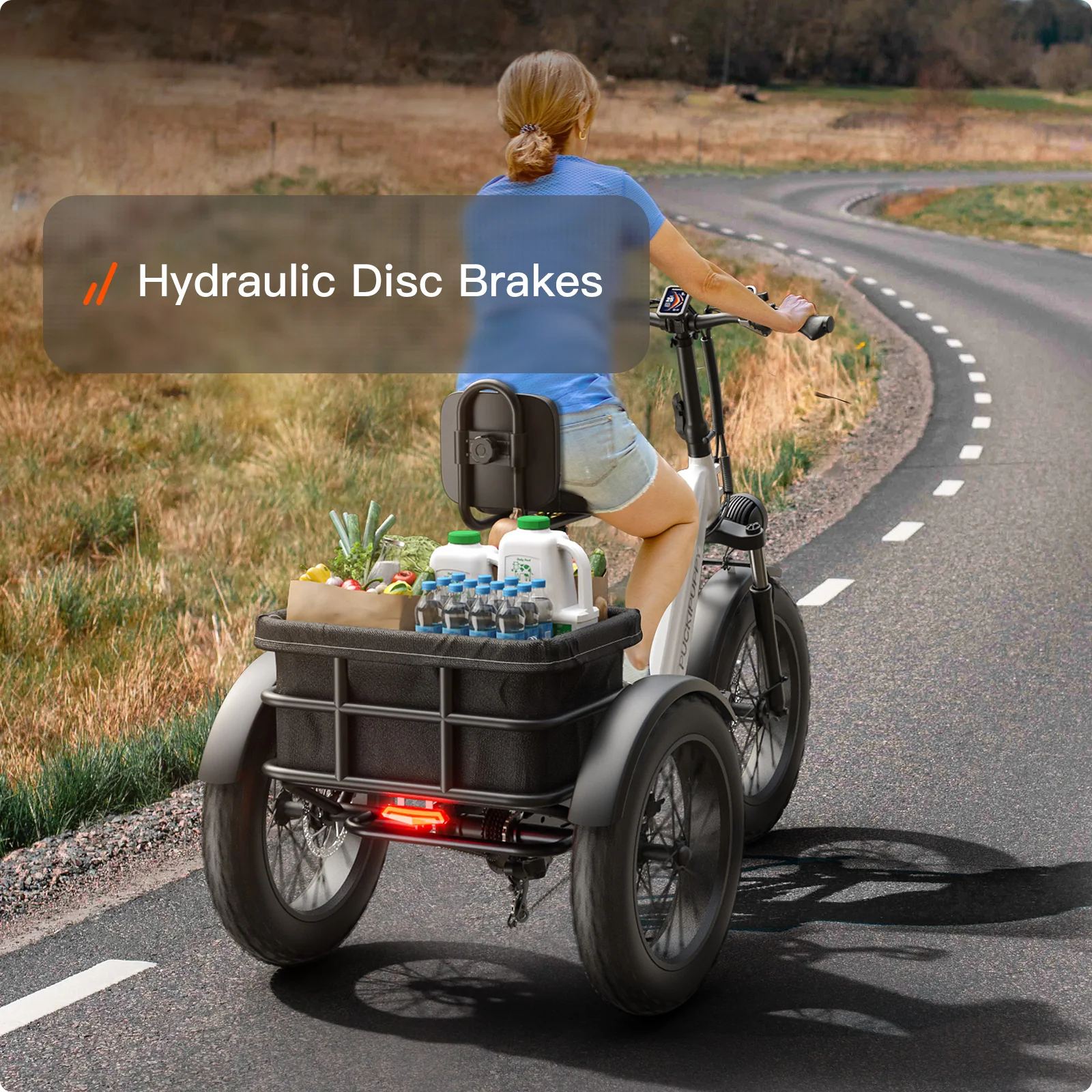 Husky Electric Tricycle