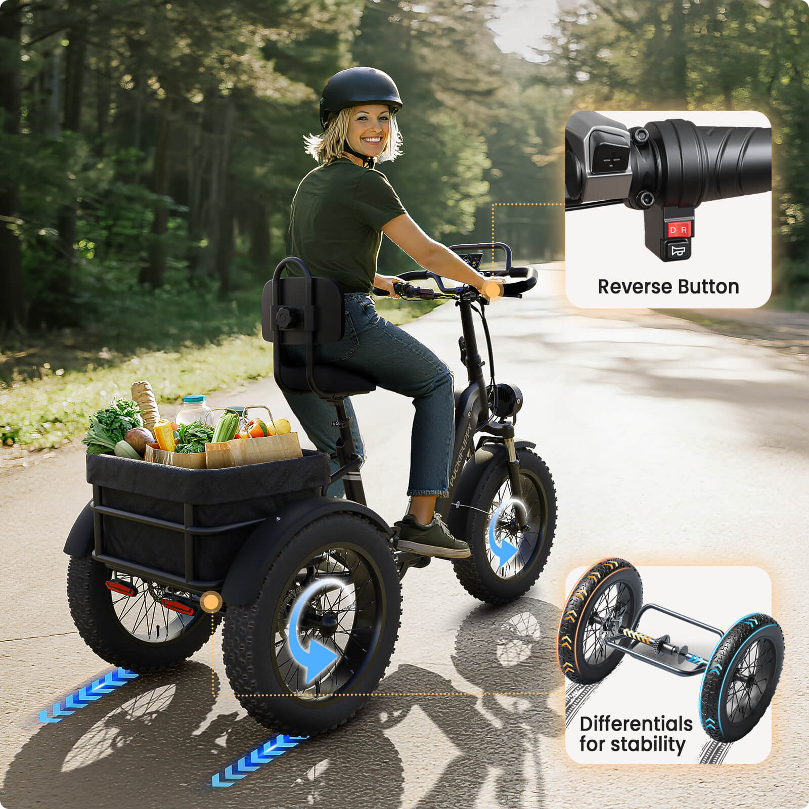 Rottweiler Electric Tricycle