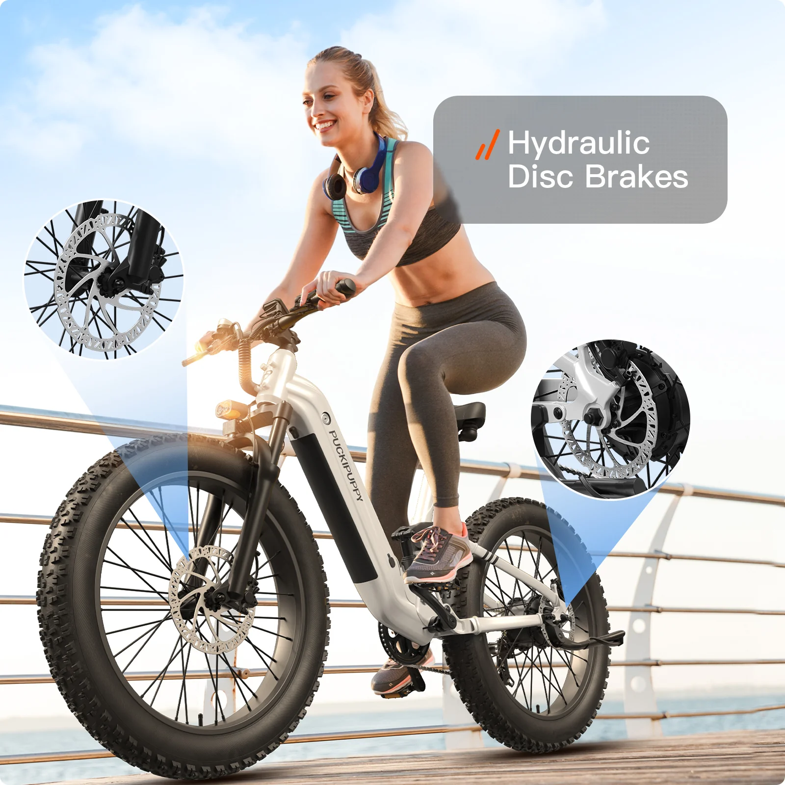 Boxer ST Ebike