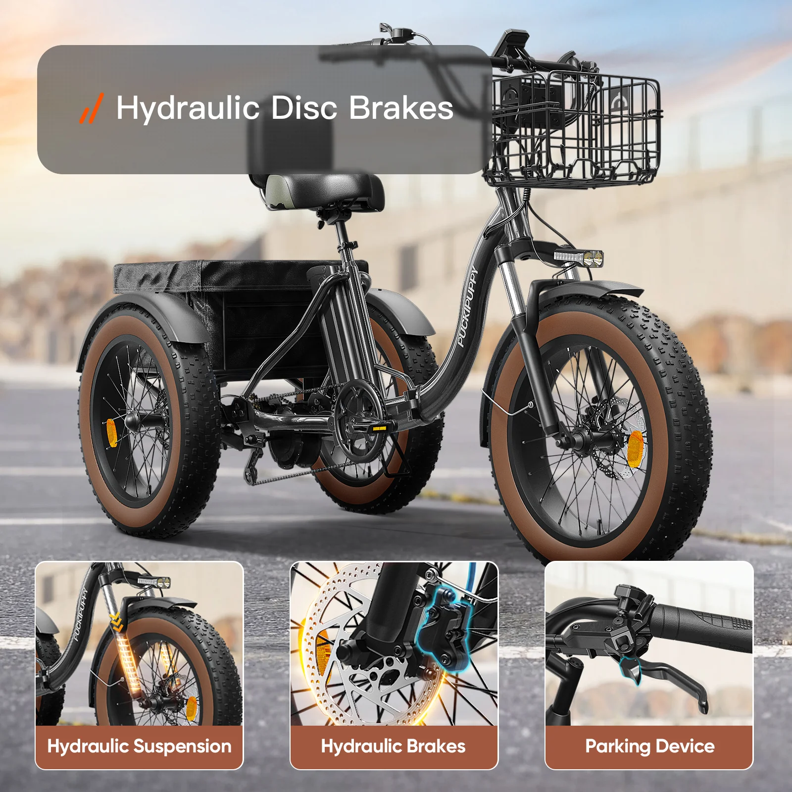 Alaskan Electric Tricycle