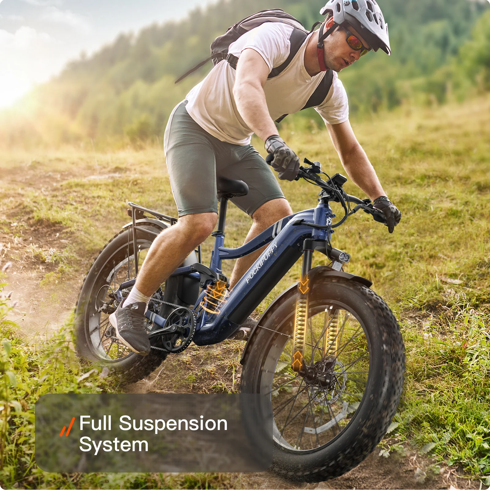 Boxer Ebike