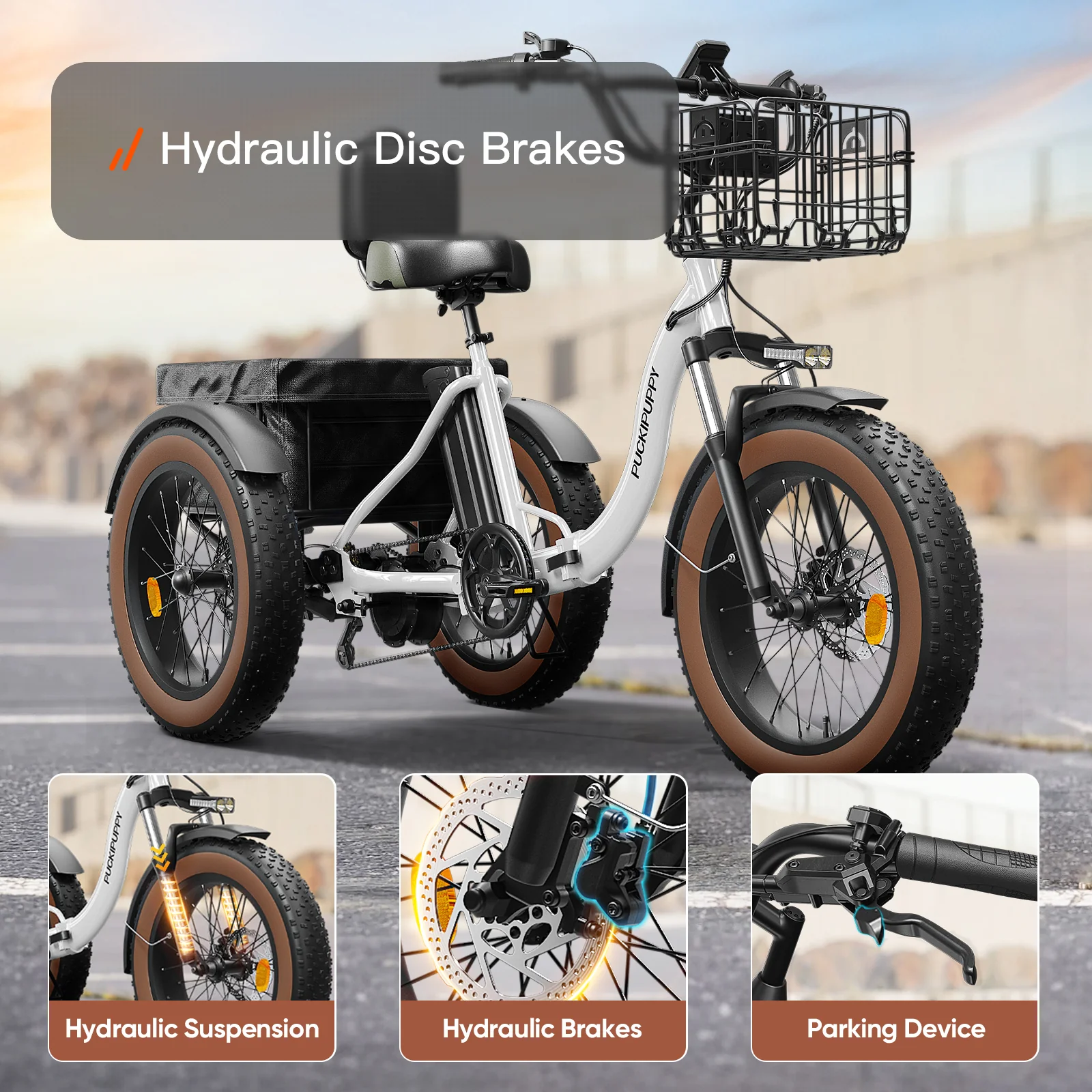 Alaskan Electric Tricycle