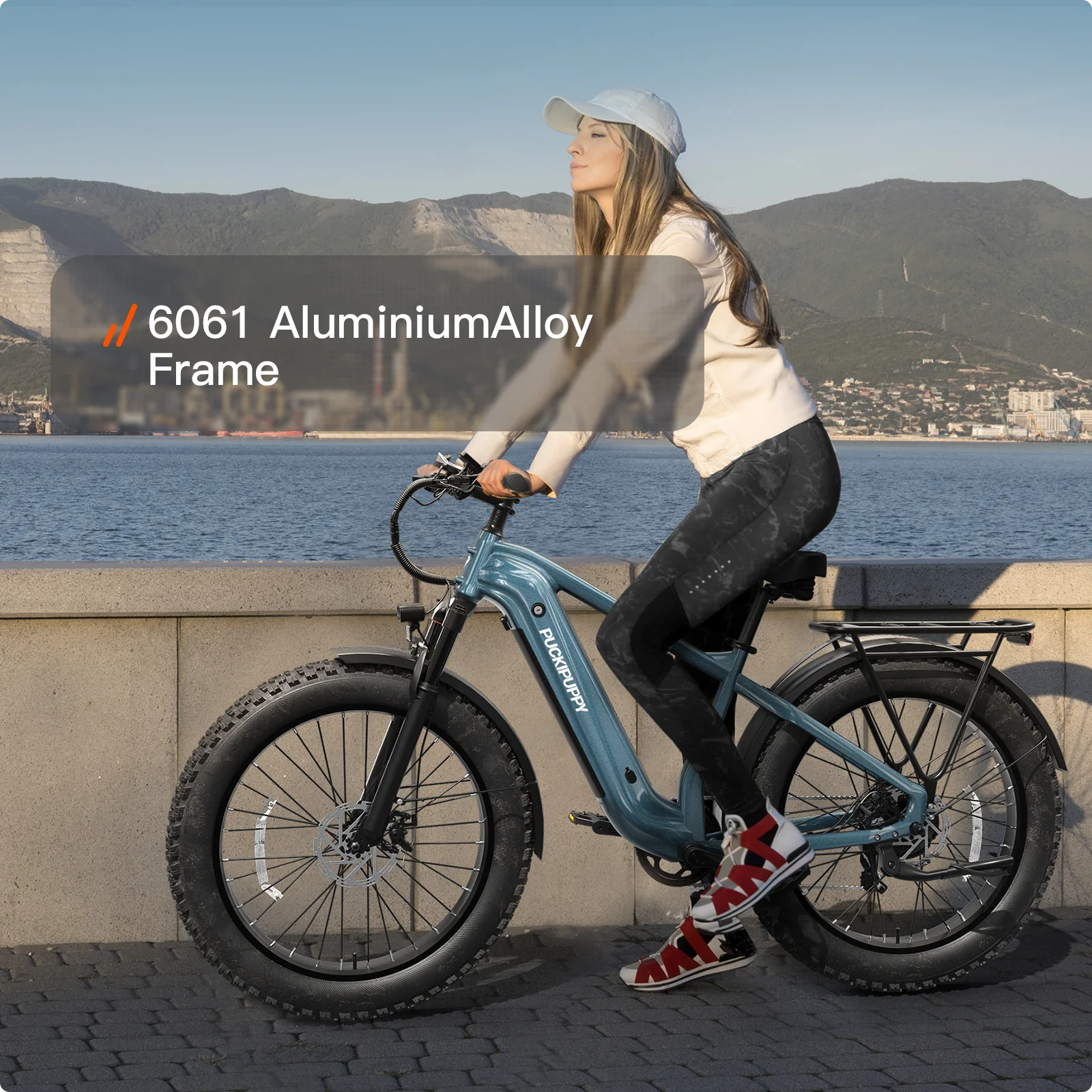 Beagle 2 Ebike