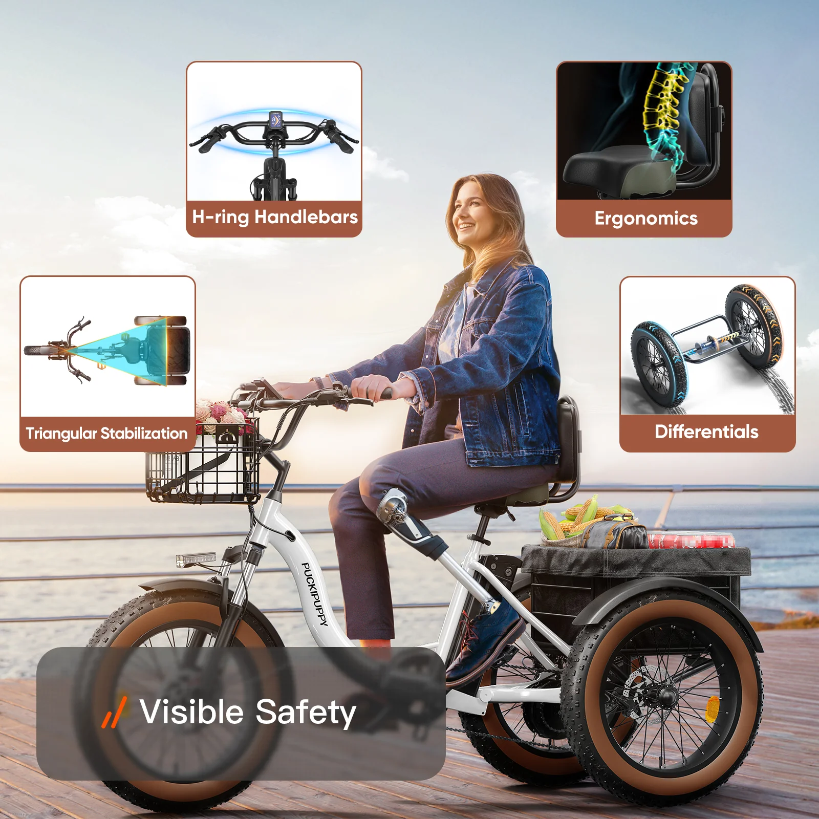 Alaskan Electric Tricycle