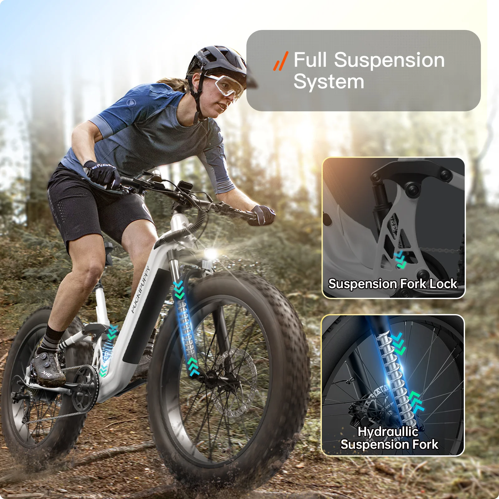 Boxer ST Ebike