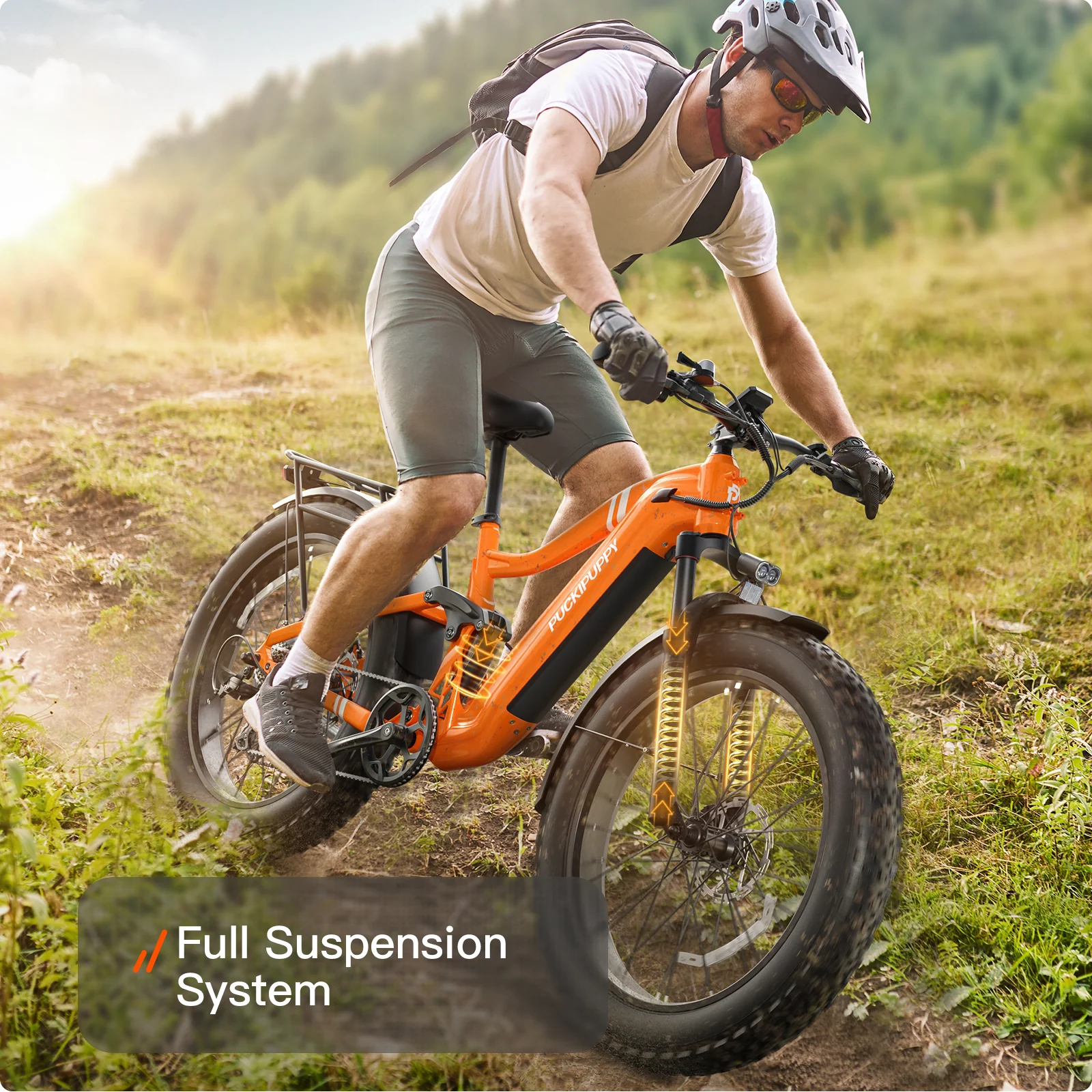 Boxer Ebike