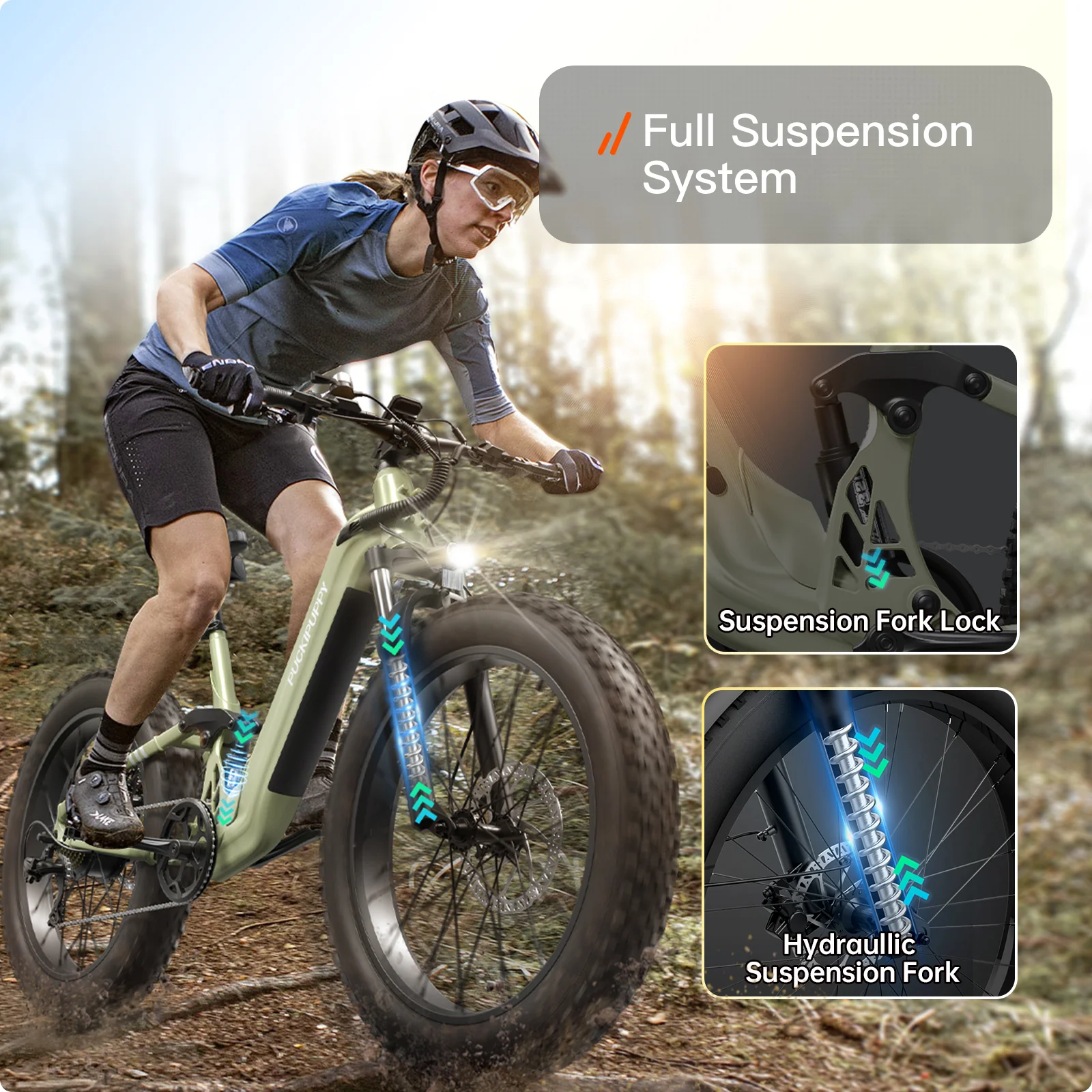 Boxer ST Ebike