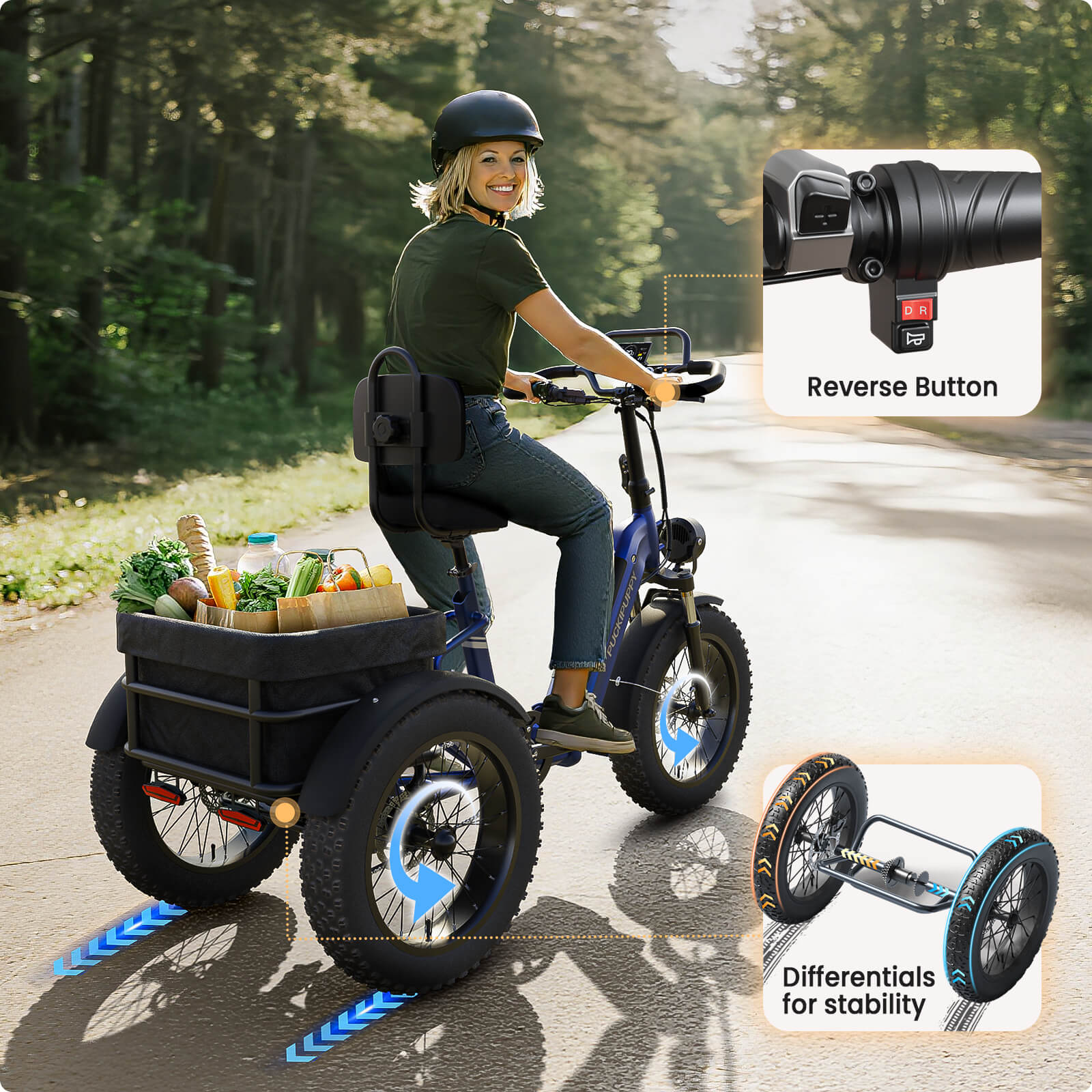 Rottweiler Electric Tricycle