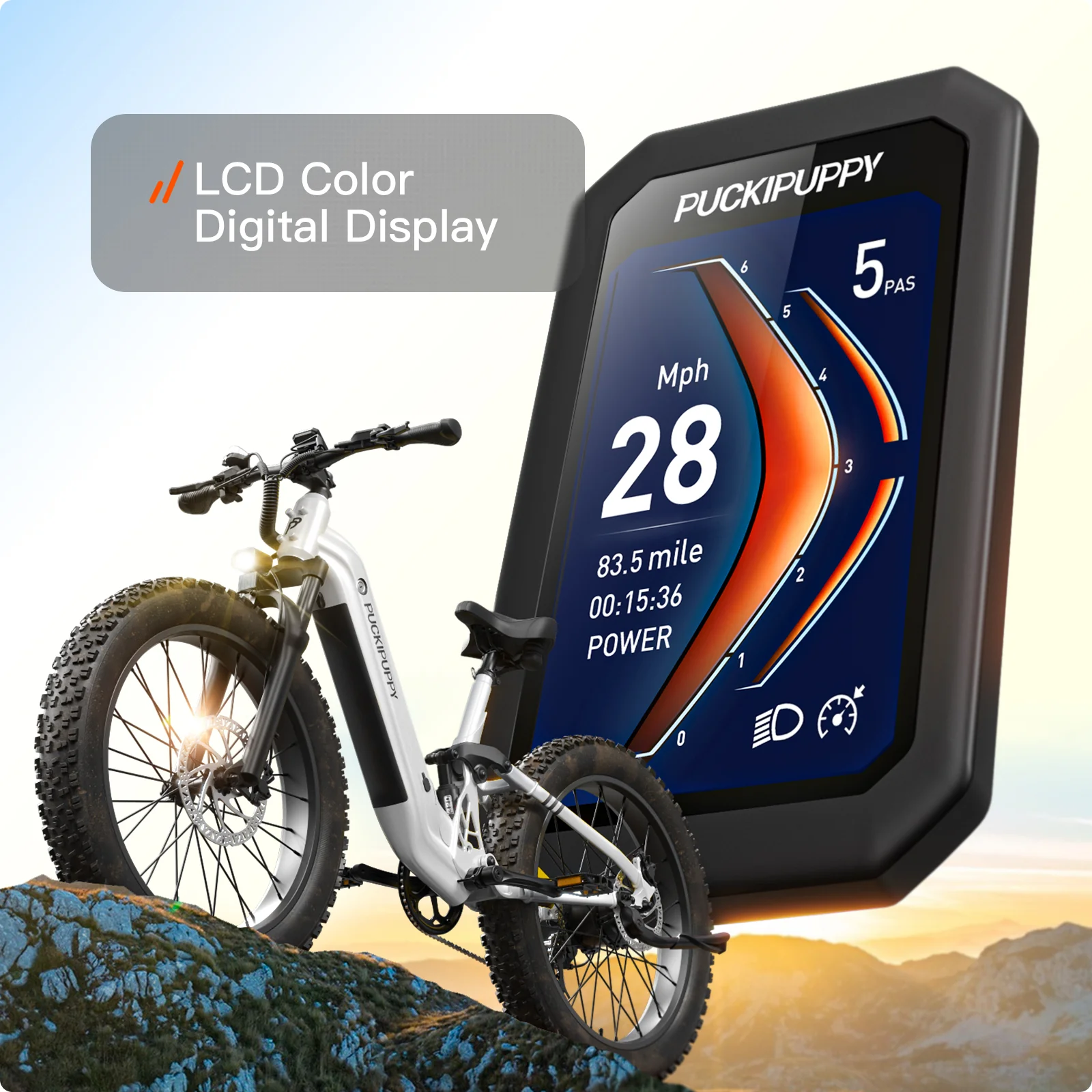 Boxer ST Ebike