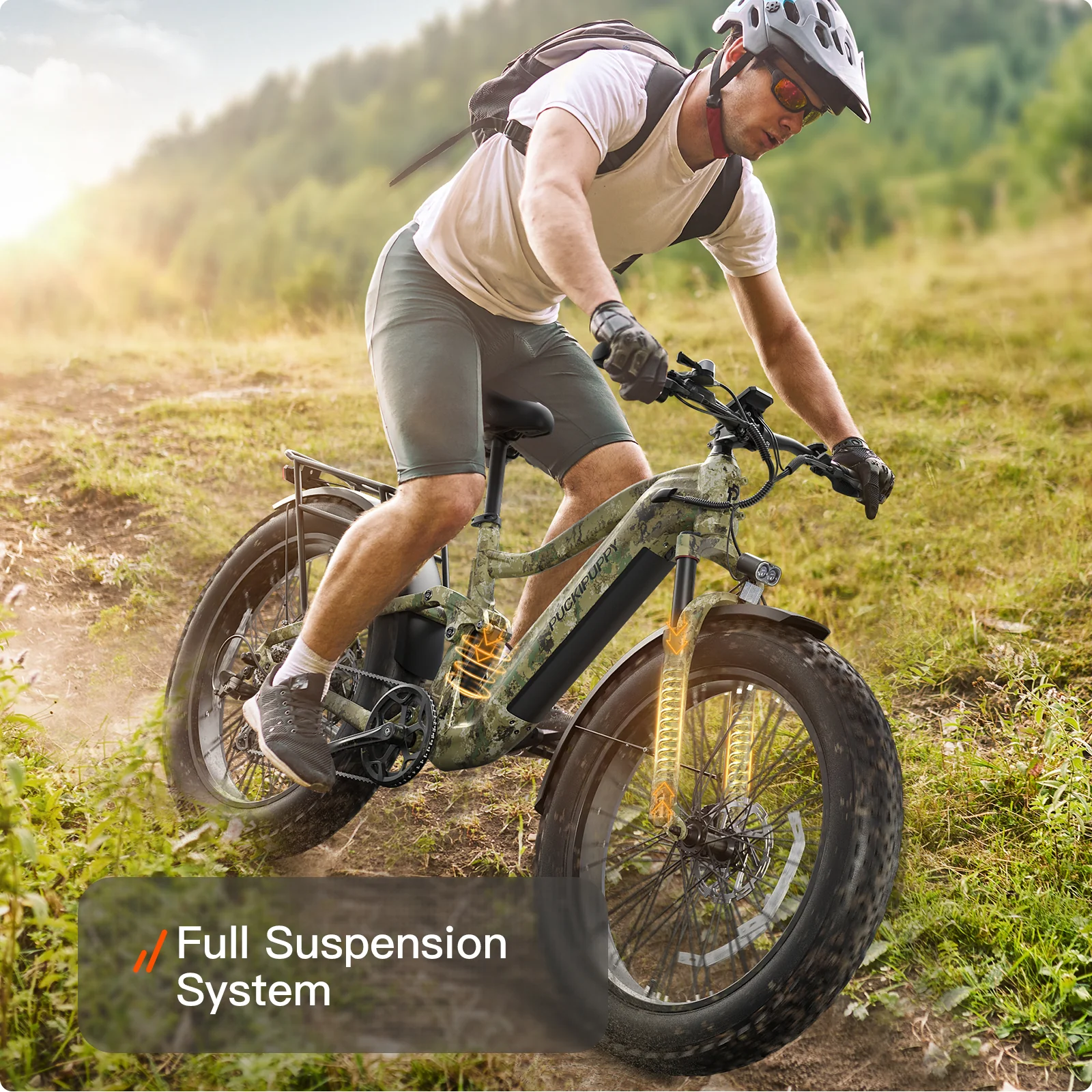 Boxer Ebike