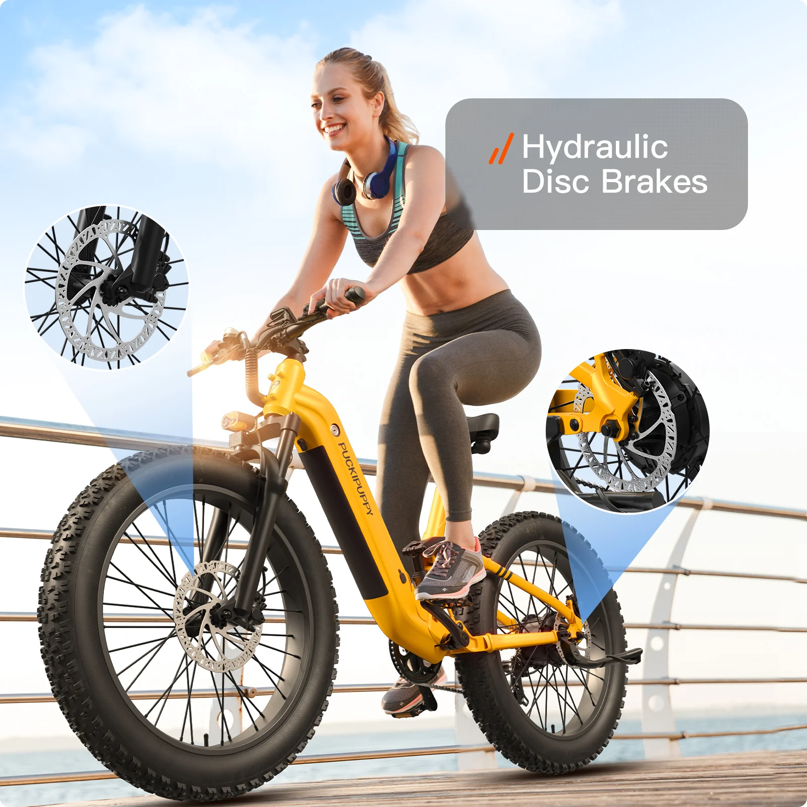 Boxer ST Ebike