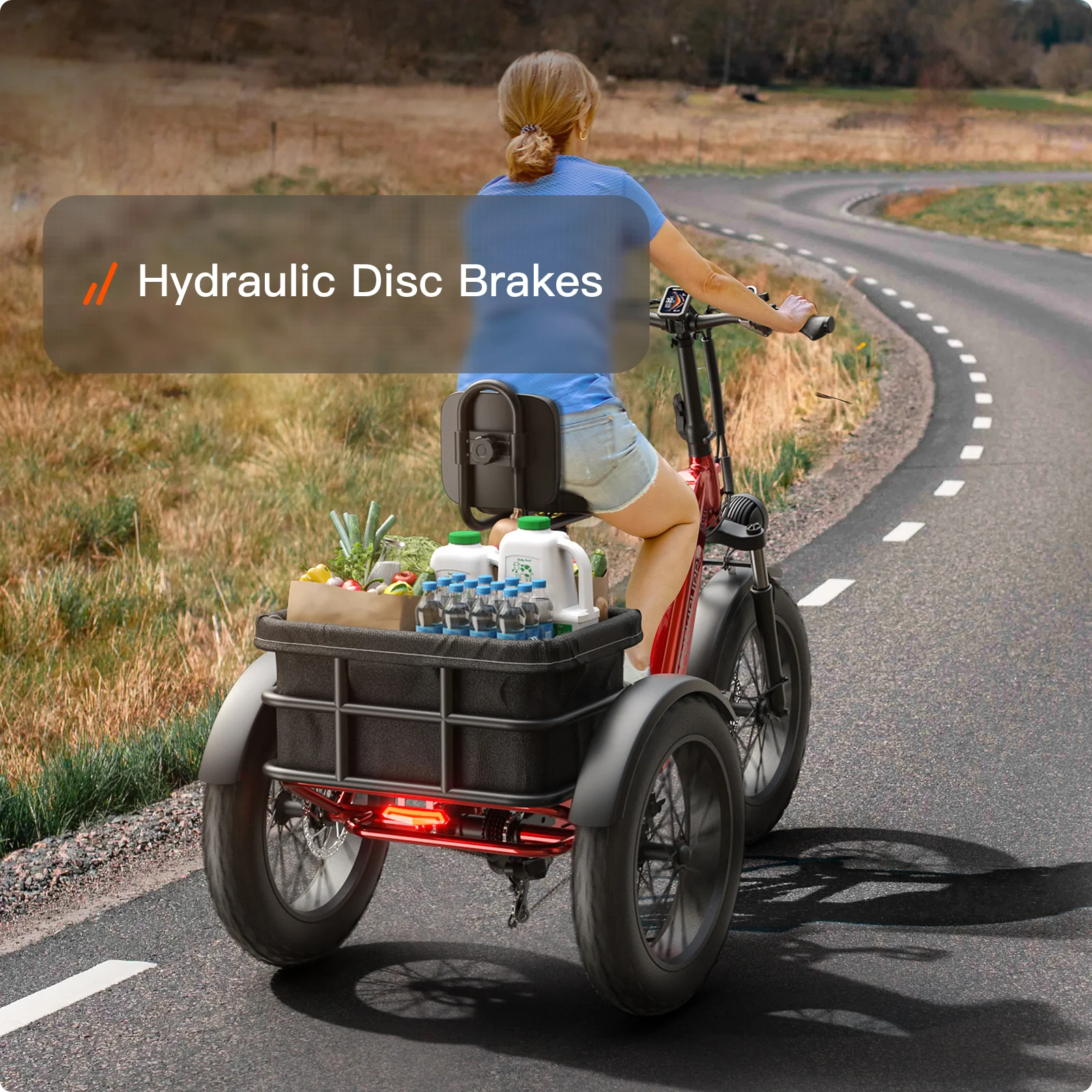 Husky Plus Electric Tricycle