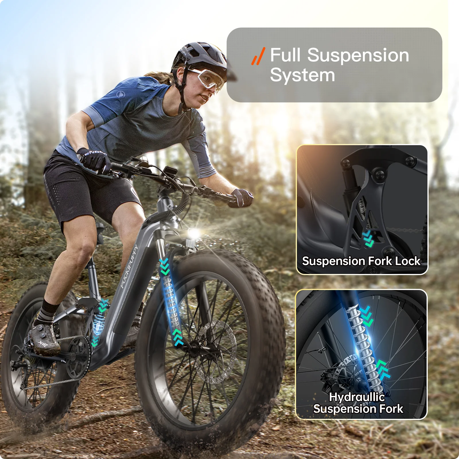 Boxer ST Ebike