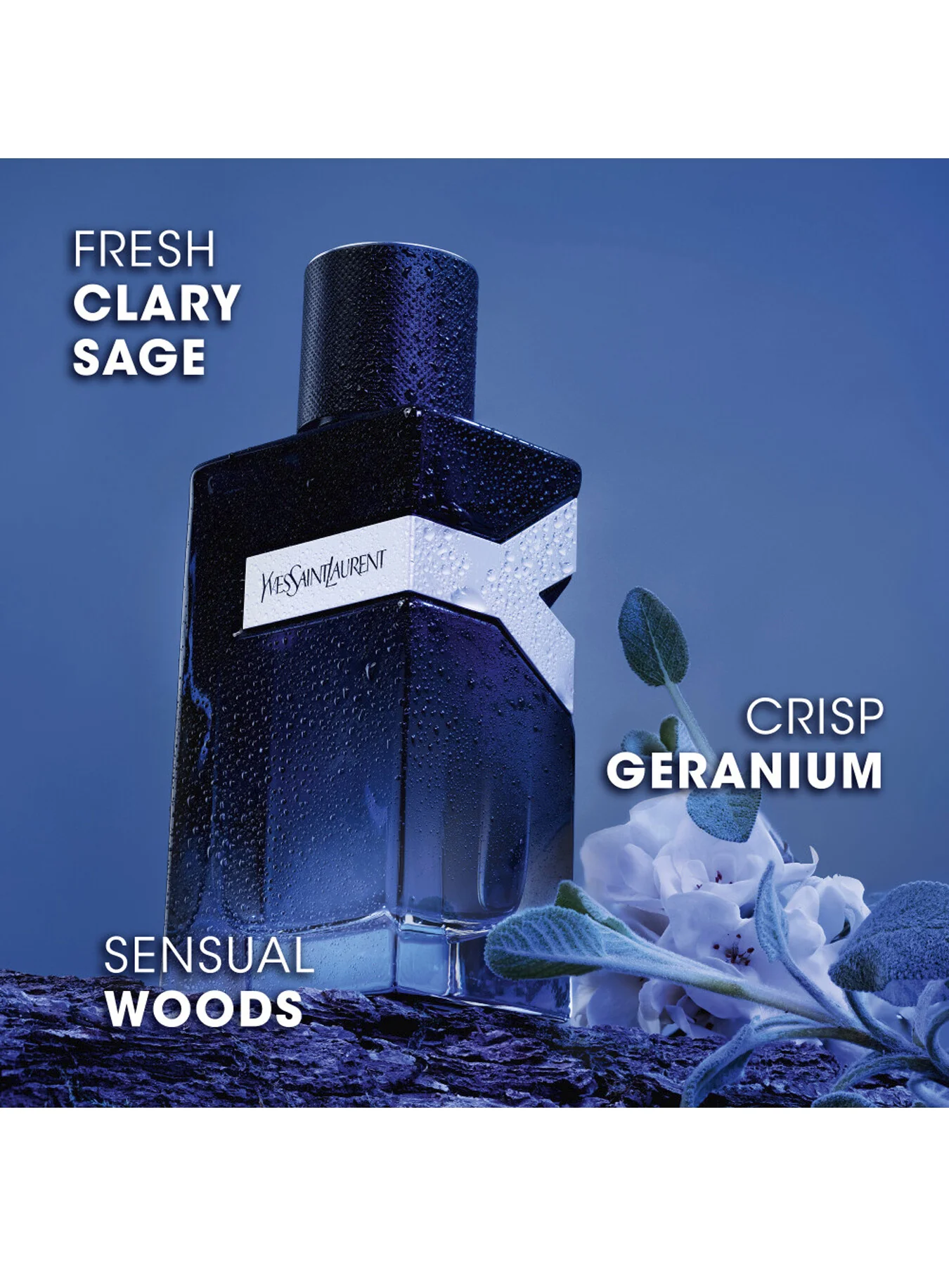 Y Eau de Parfum 60ml