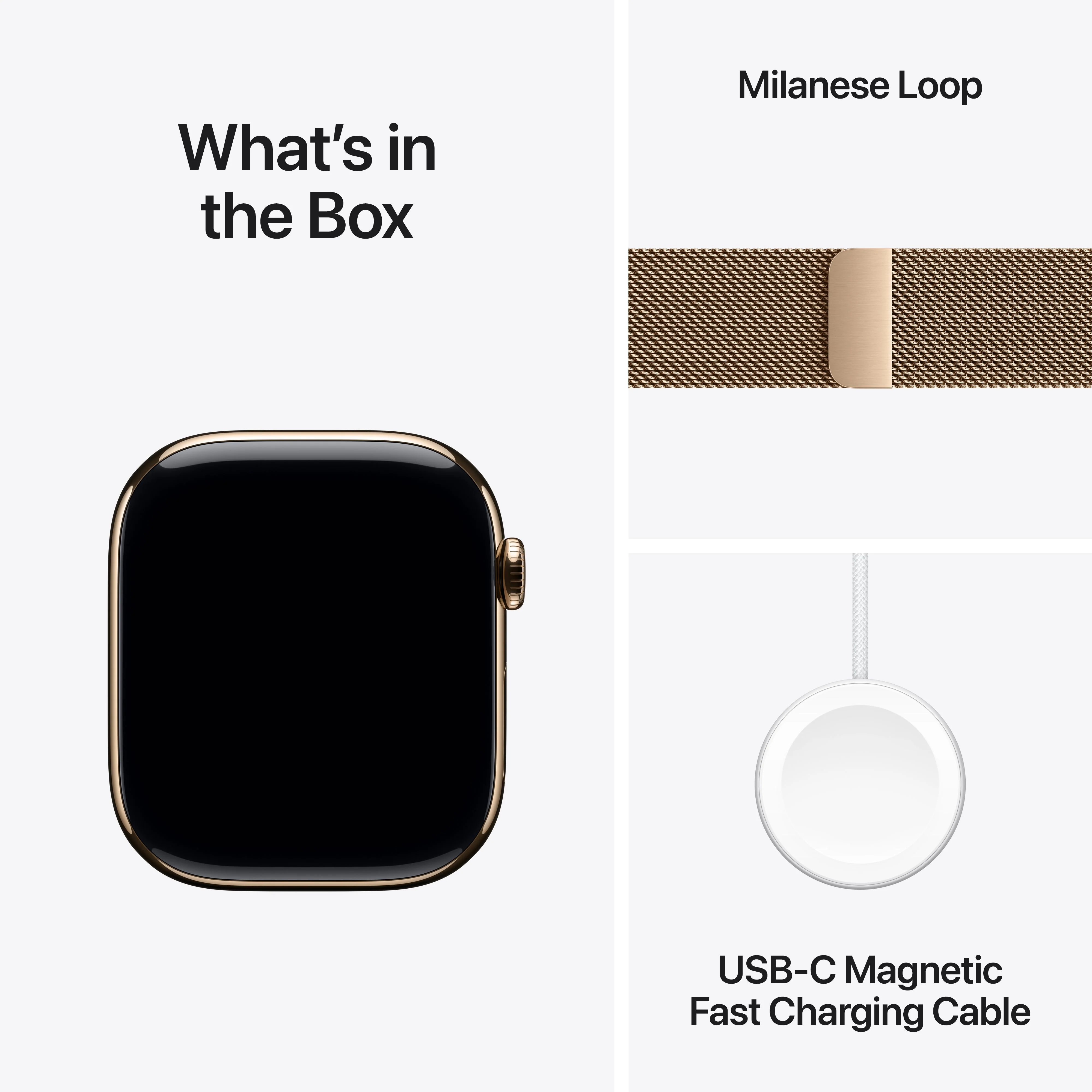 Apple Watch Series 11 - Titanium