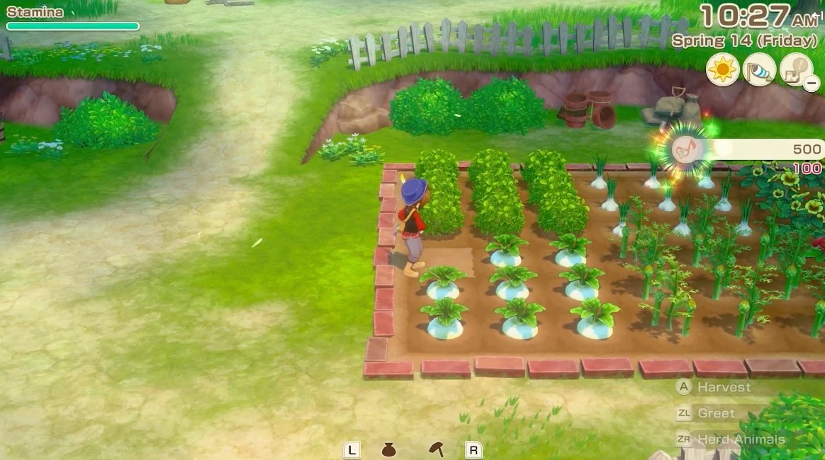 Story of Seasons: Grand Bazaar Nintendo Switch