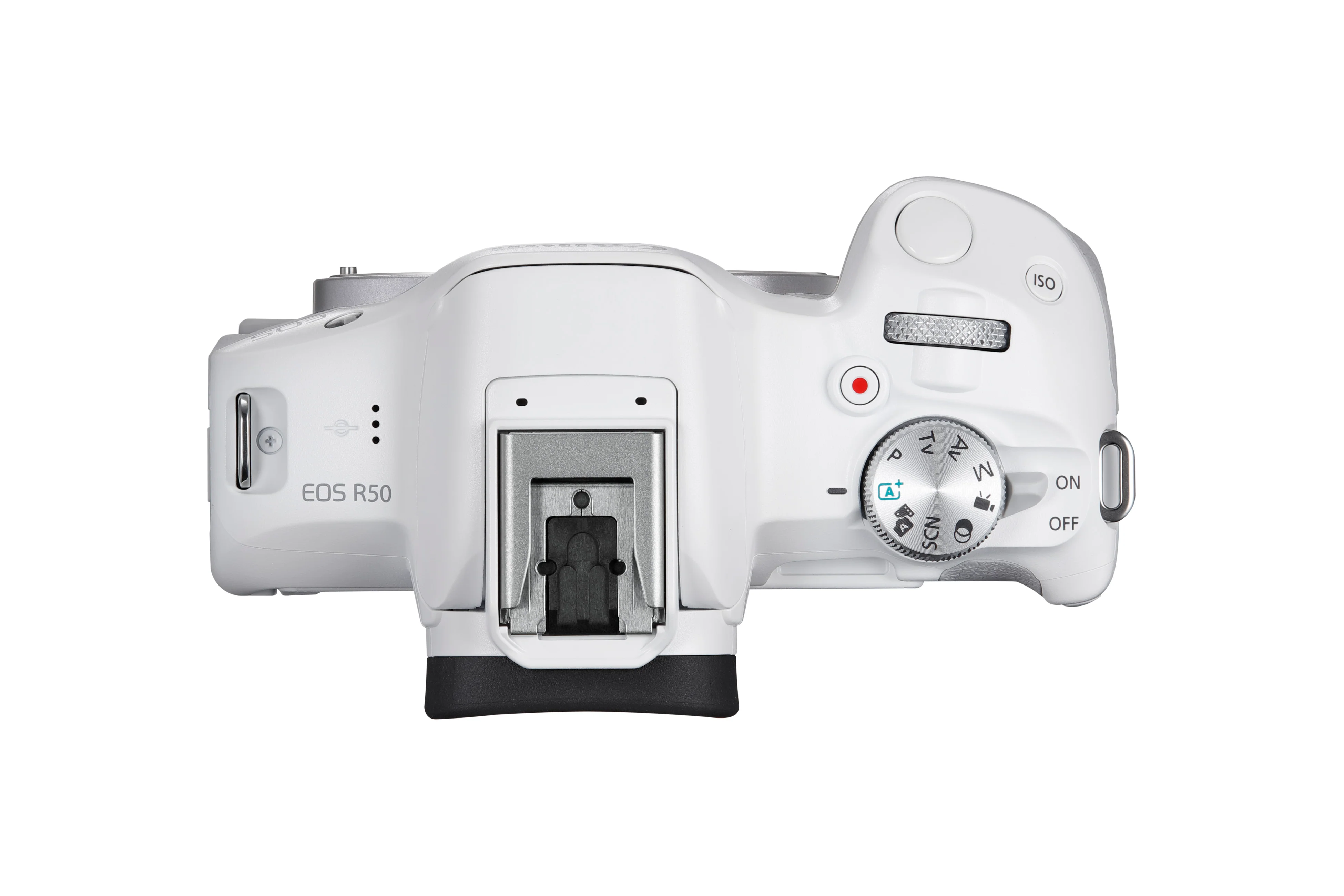 Canon EOS R50 (RF-s18-45mm f/4.5-6.3 IS stm) White