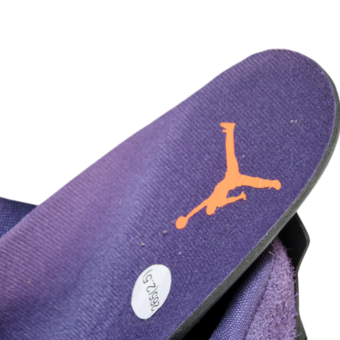 AJ4 Retro 'Canyon Purple'