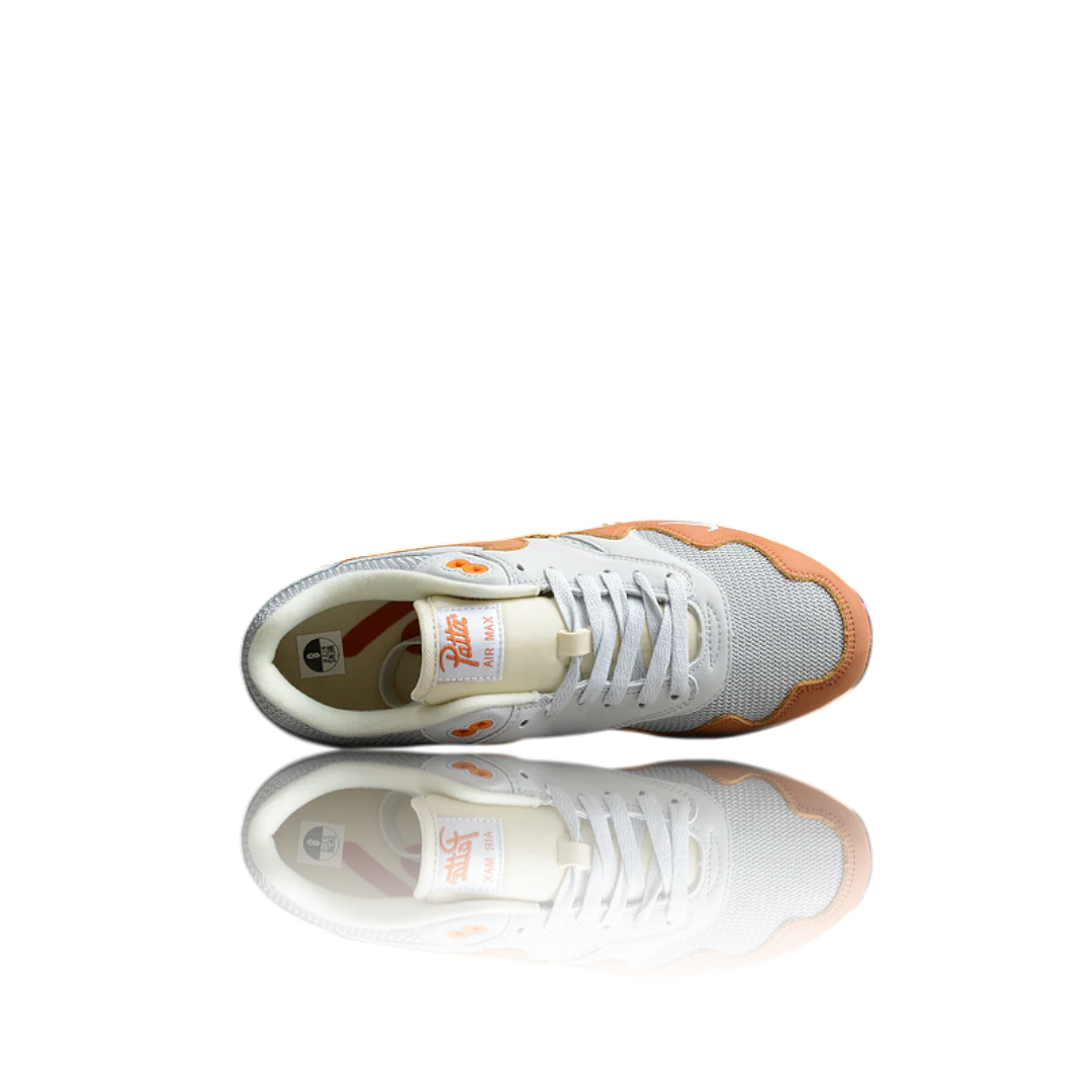 AM1 x Patta 'Waves Monarch'