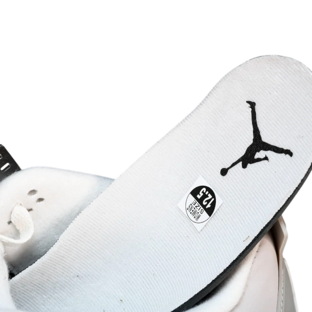 AJ4 Retro WMNS 'Frozen Moments'