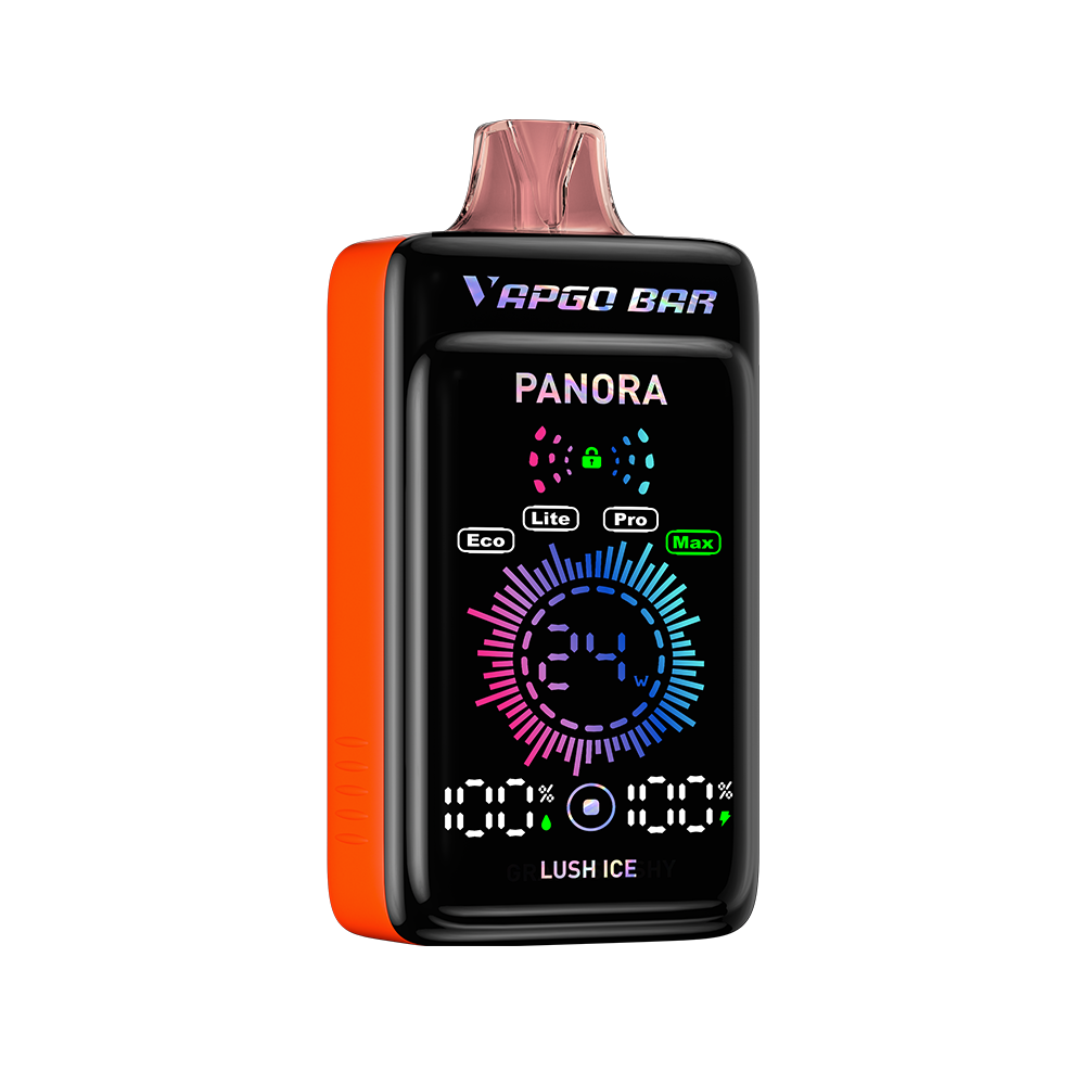 Vapgobar Panora 25000 PUFFS