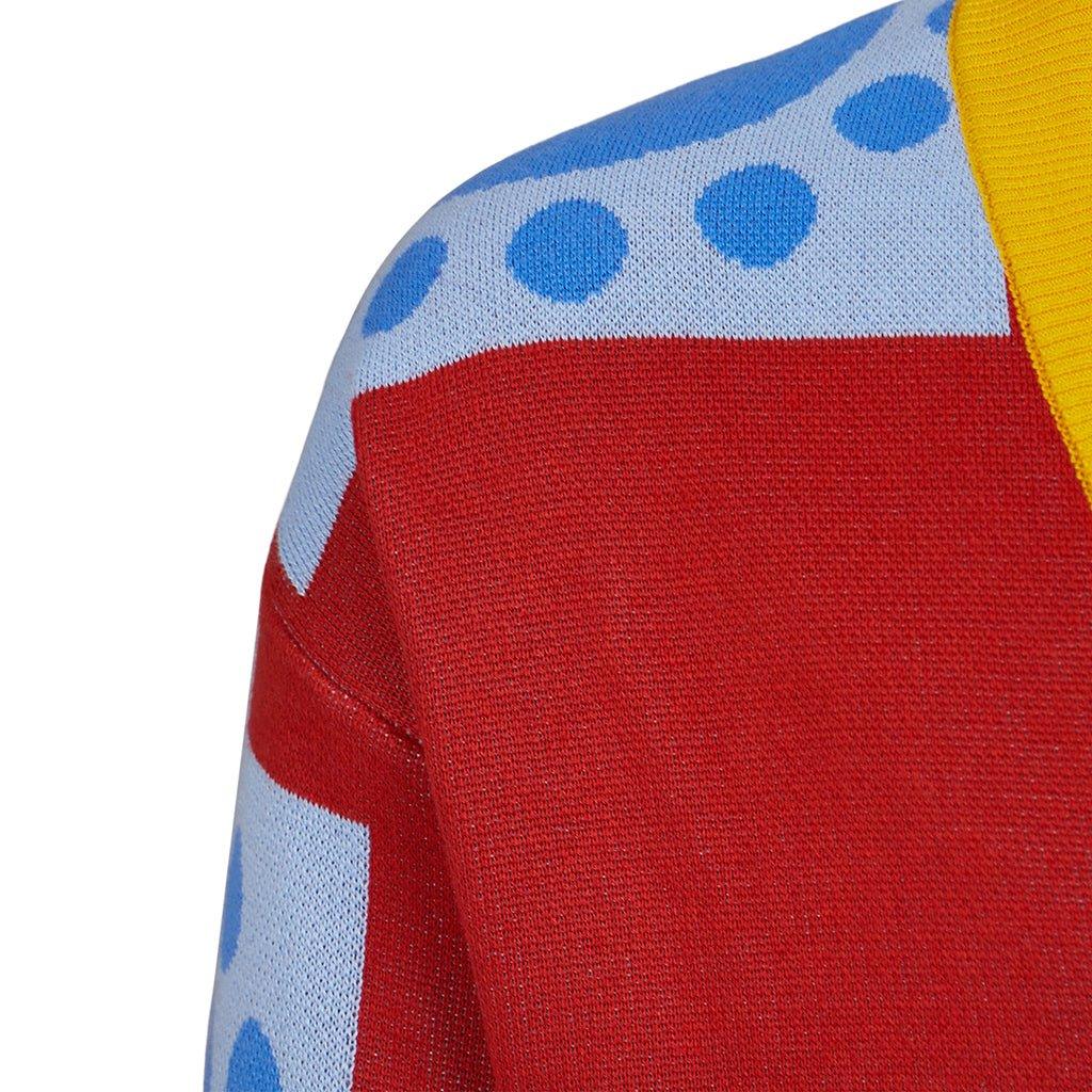 Casaco de Cosplay Luffy Wano Country | One Piece para Adultos | Cardigã Anime - Estrela Cosplay