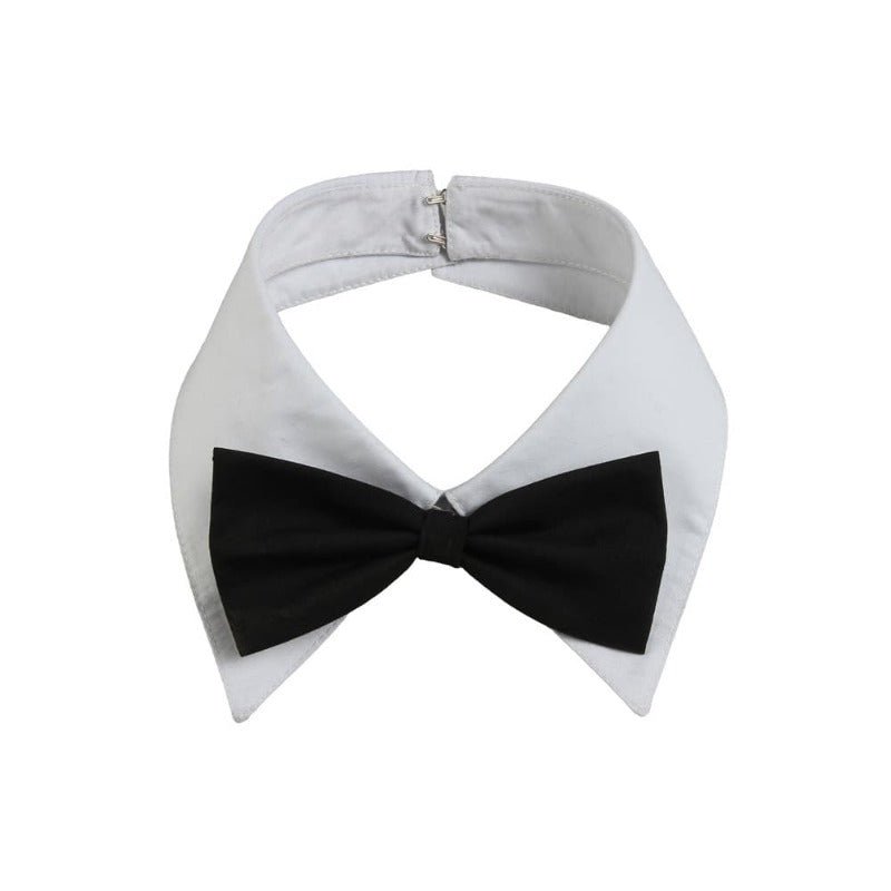 Fantasia de Coelhinha Sakurajima Mai - Rascal Does Not Dream of Bunny Girl Senpai - Estrela Cosplay