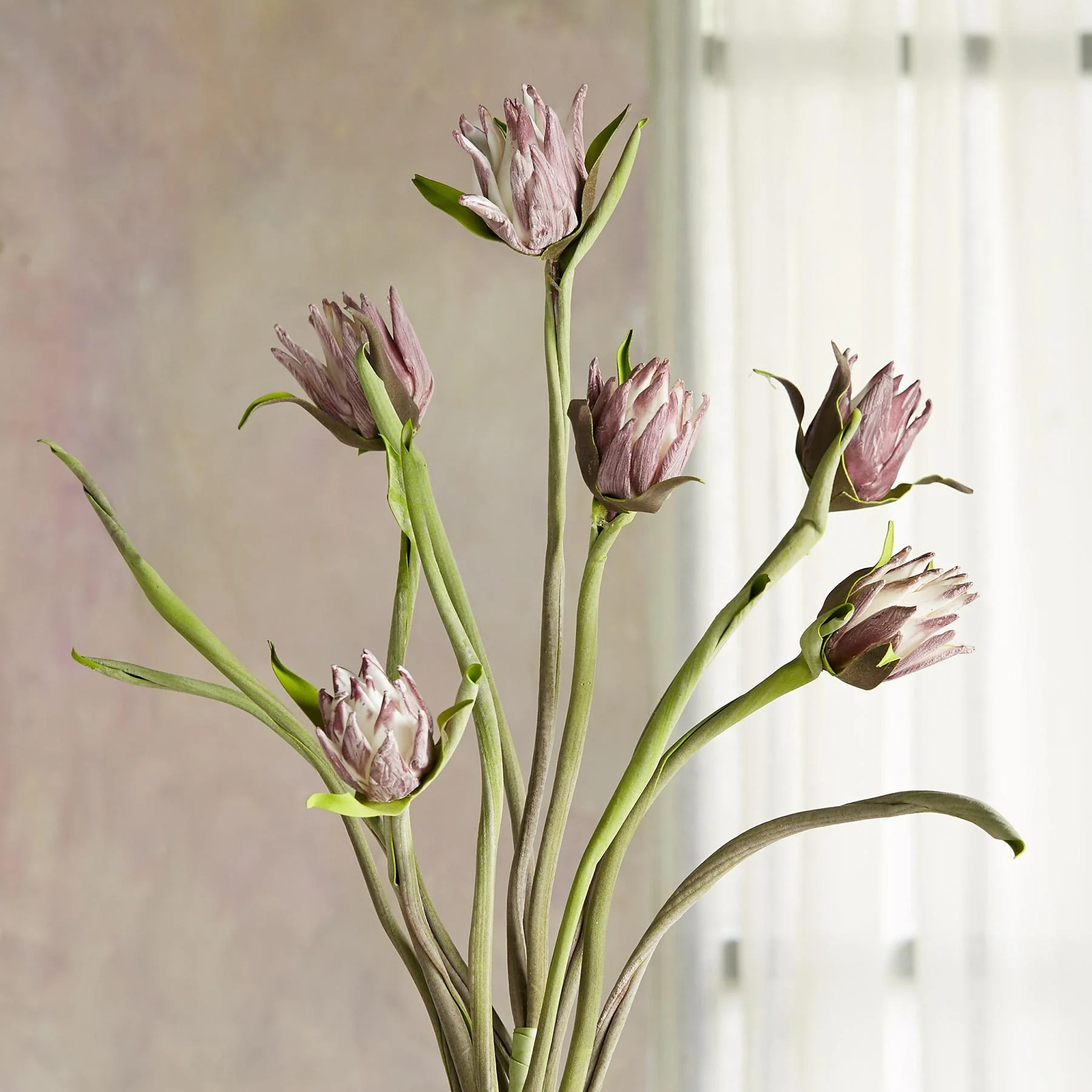 Bountiful Botanicals