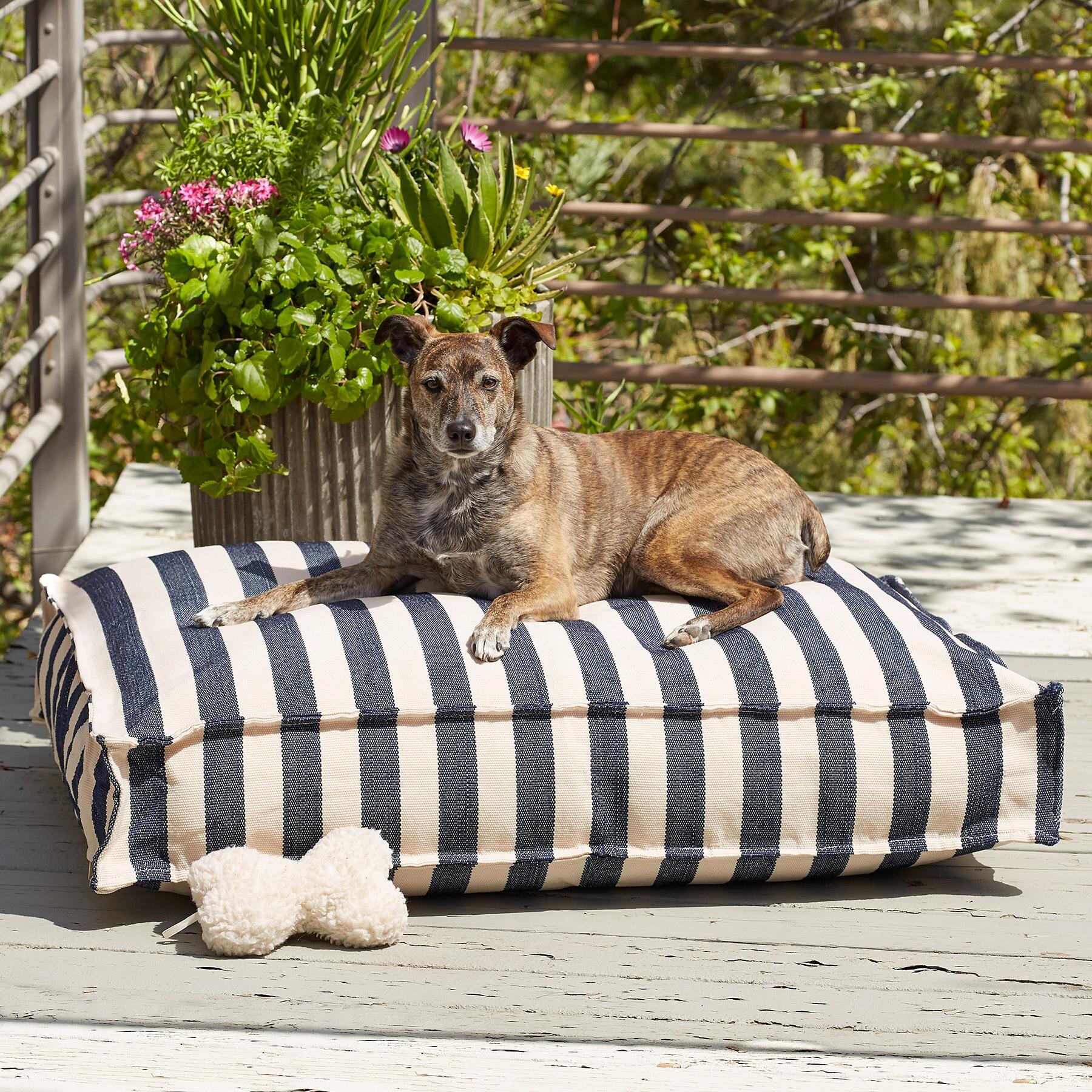 Navy Stripes Dog Days Wouf, Large