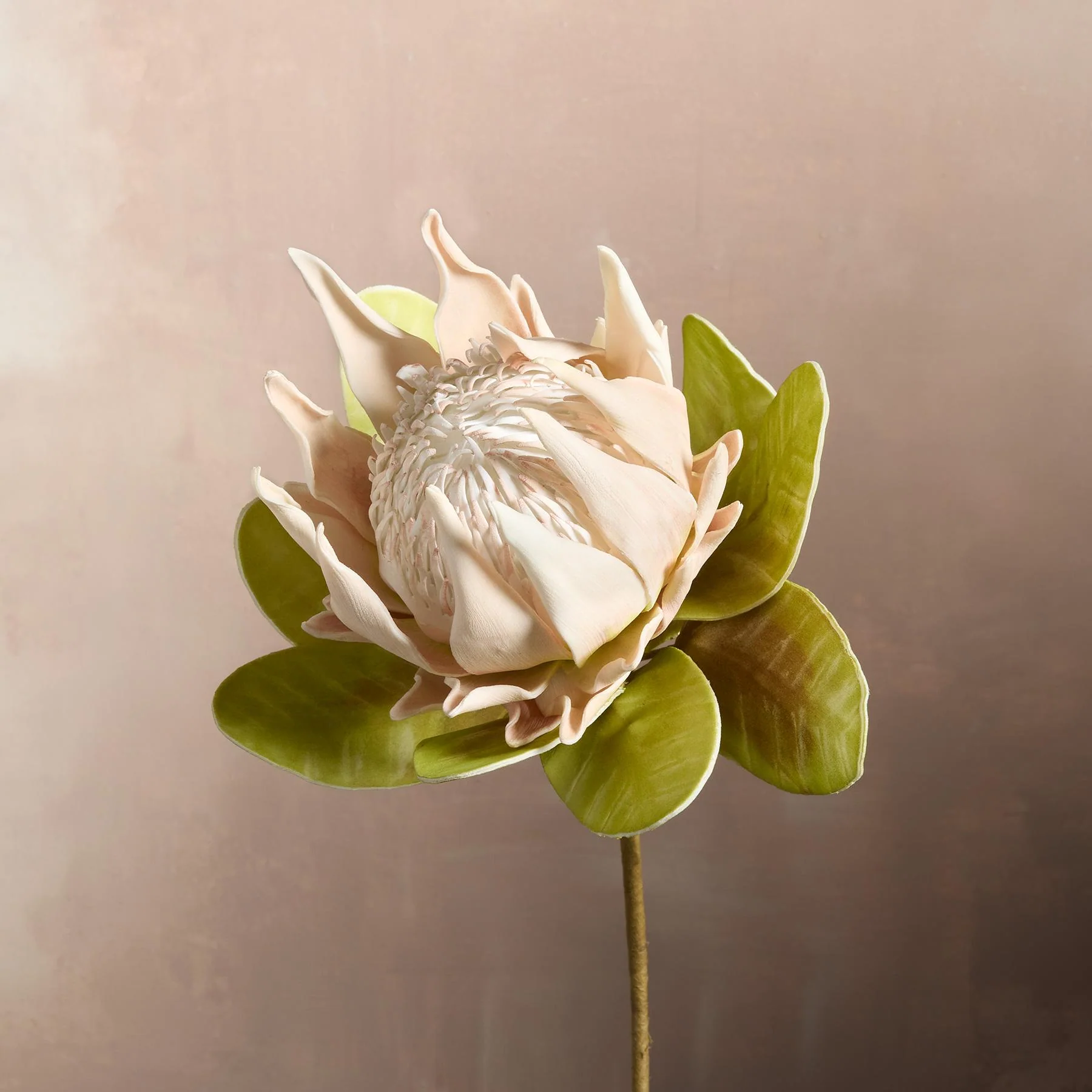 Bountiful Botanicals