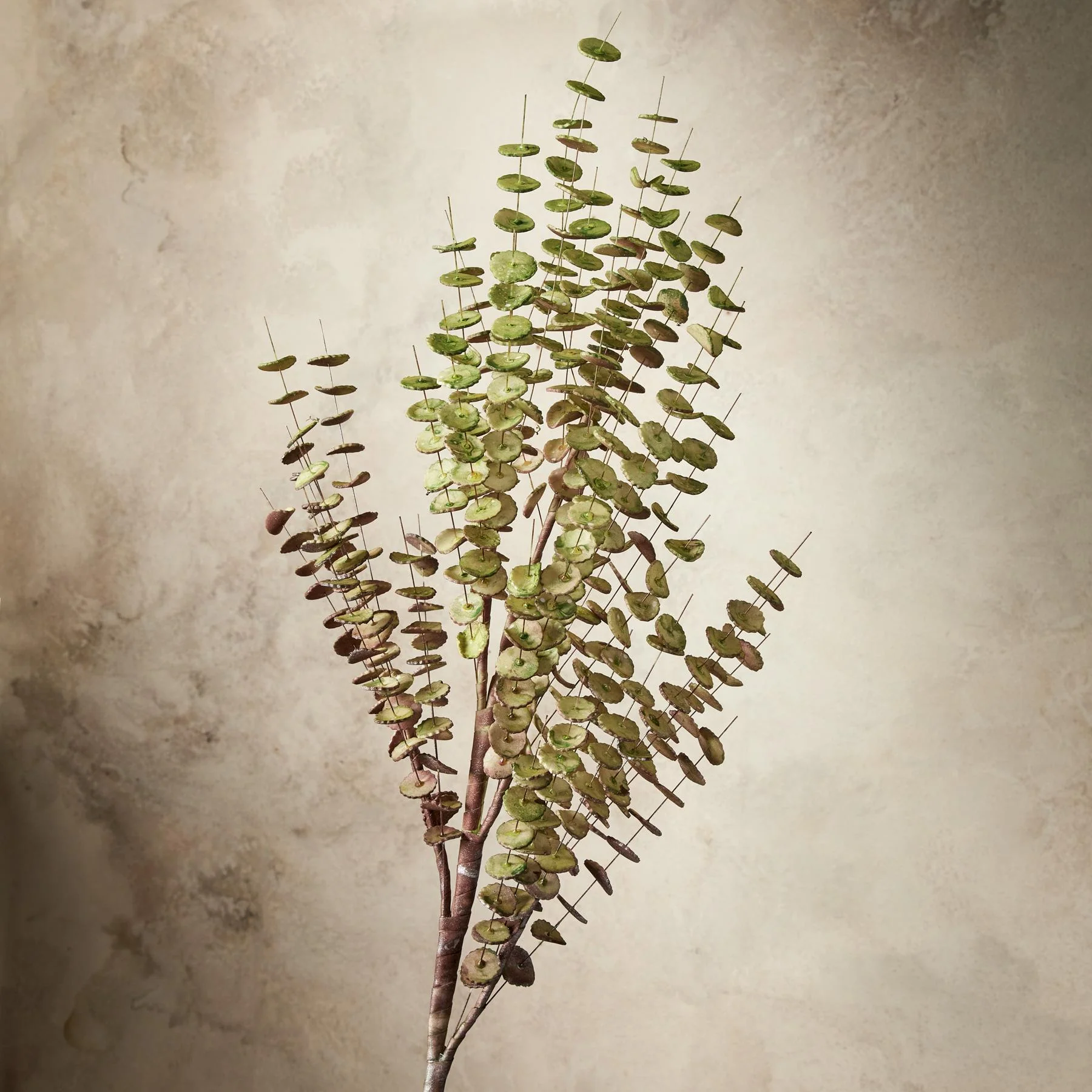 Bountiful Botanicals