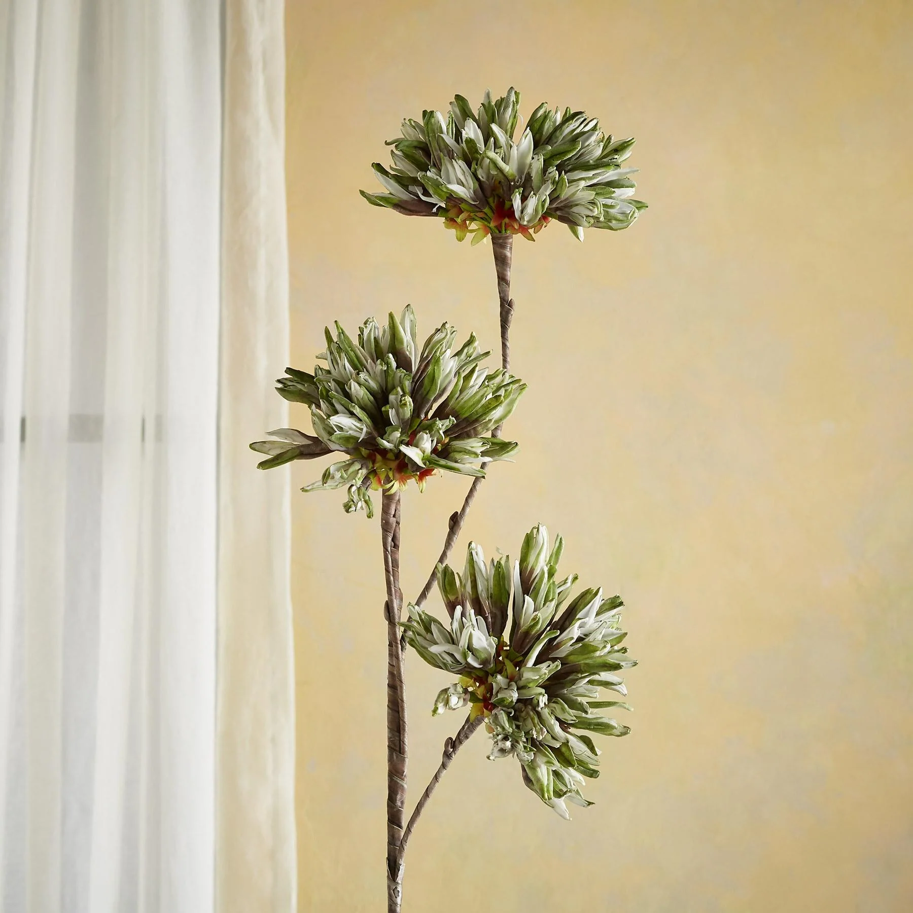 Bountiful Botanicals