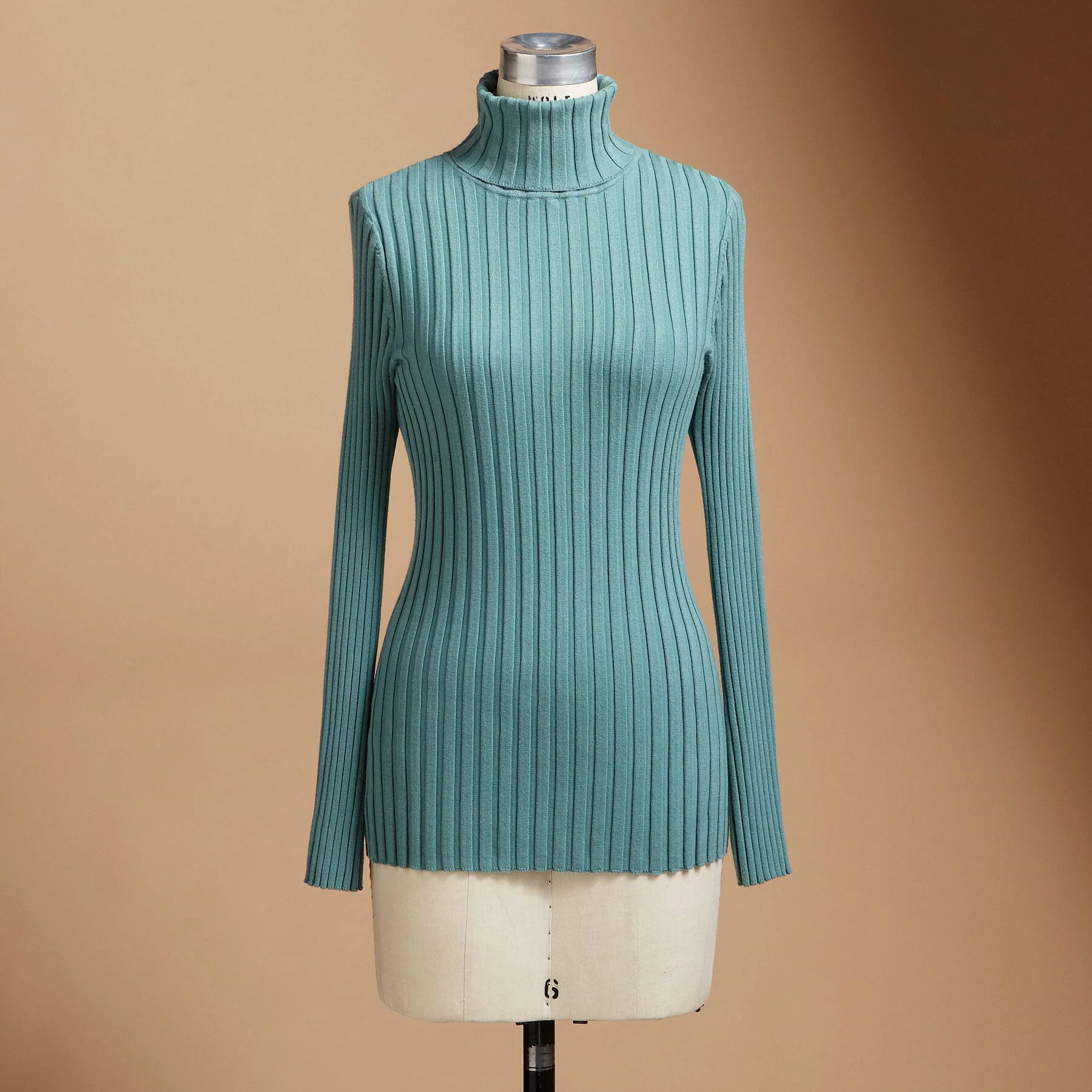 Legends Turtleneck, Petite