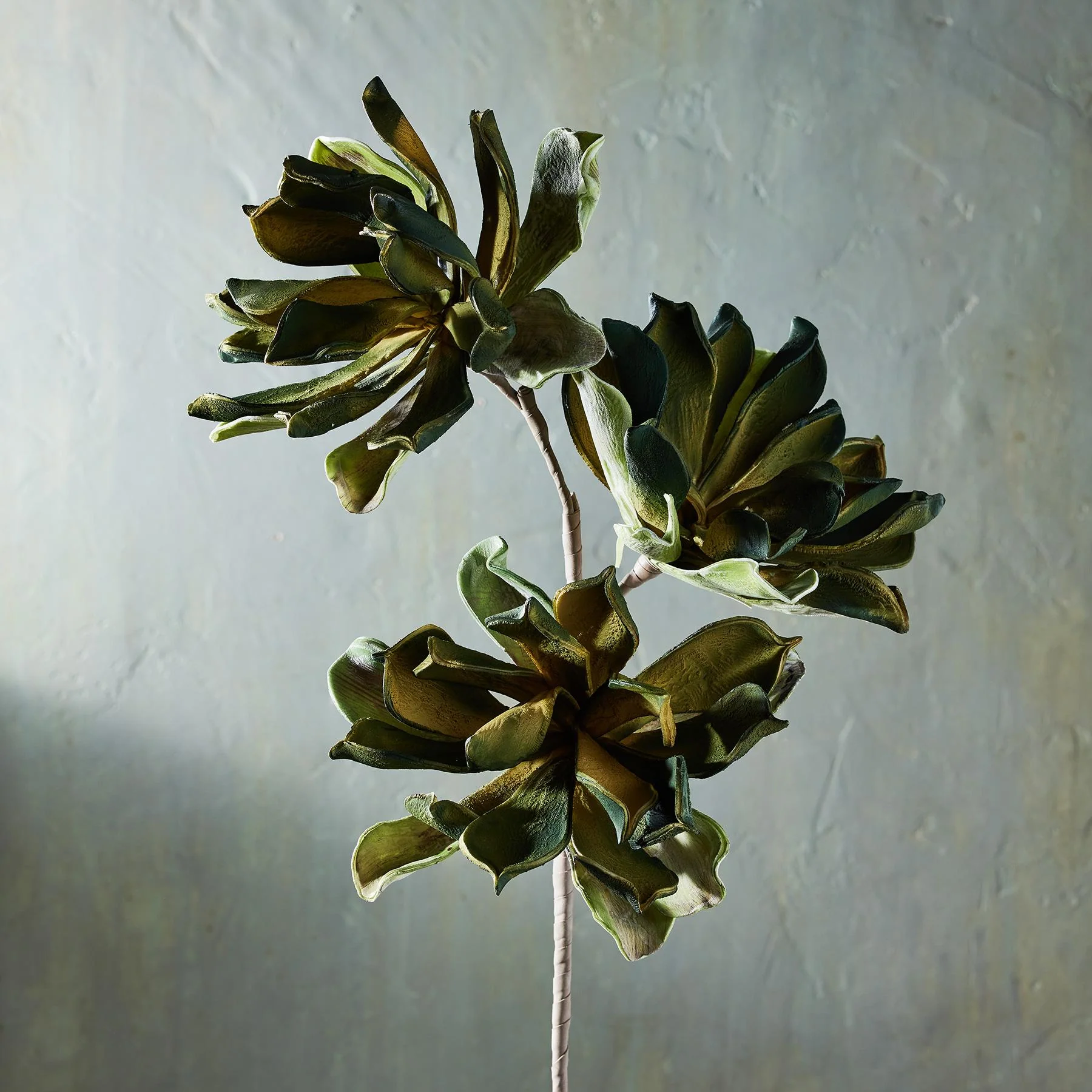 Bountiful Botanicals