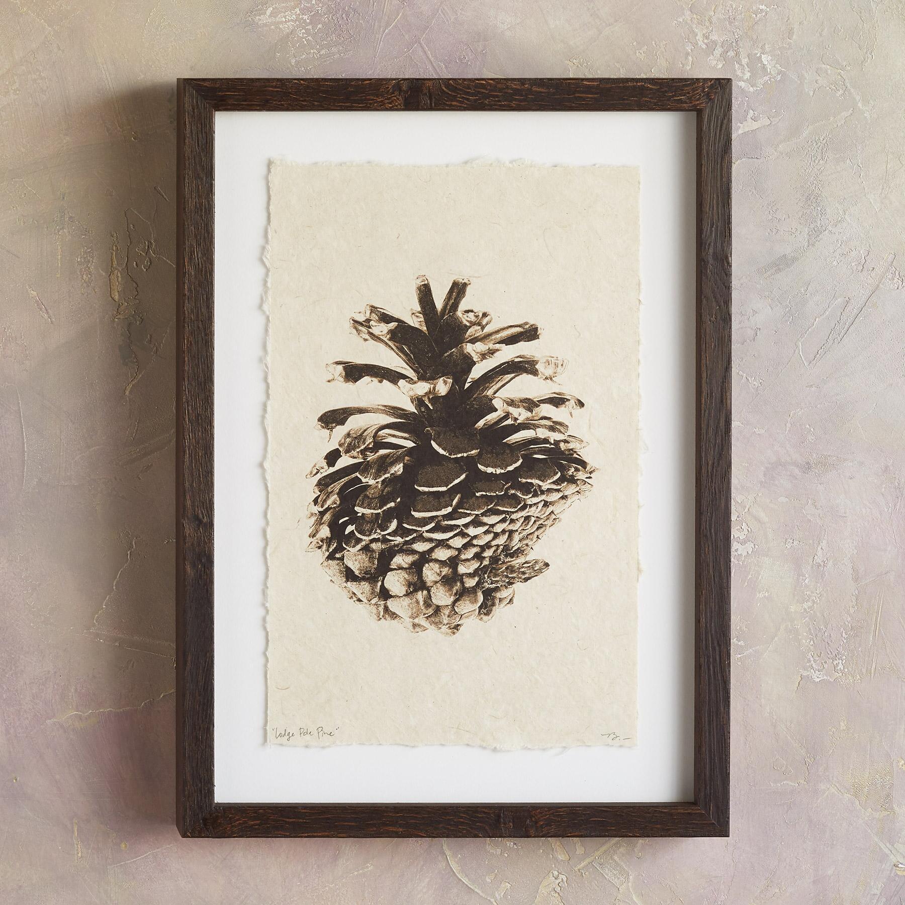 Pinecone Studies Print