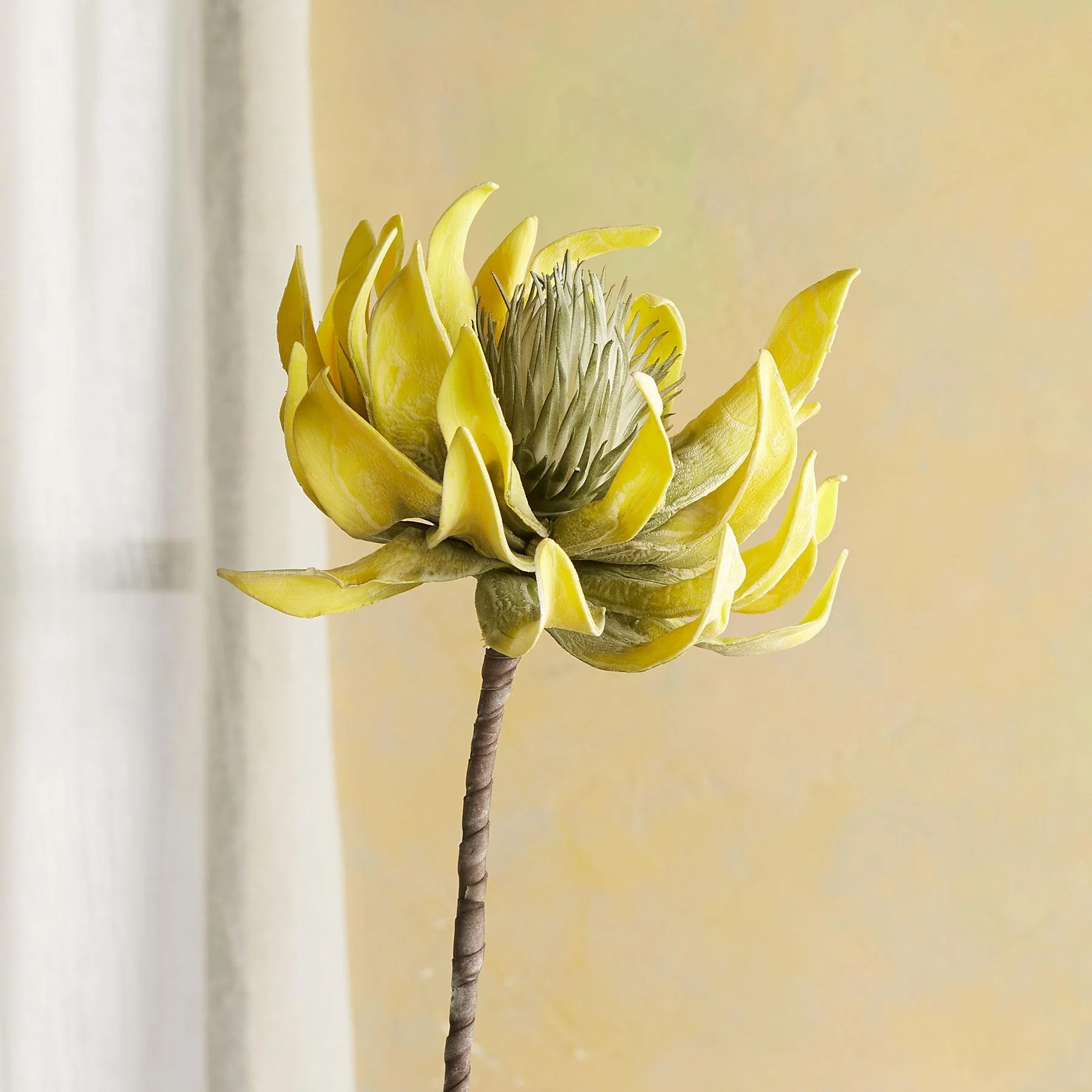 Bountiful Botanicals