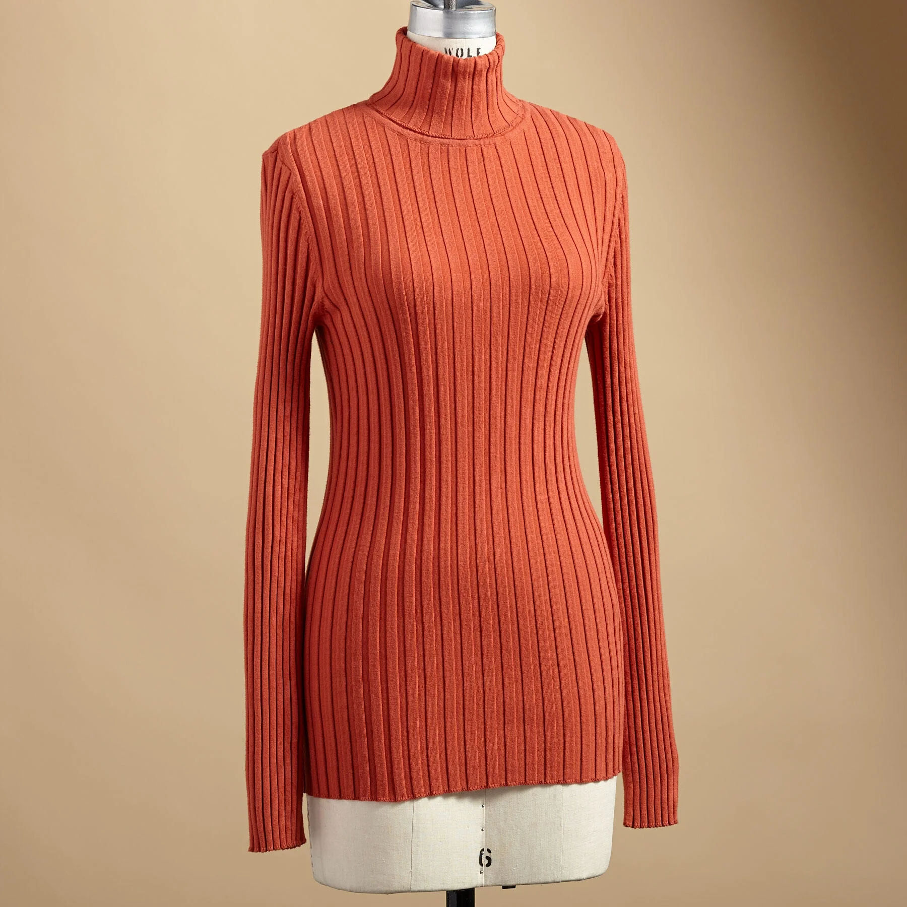 Legends Turtleneck, Petite