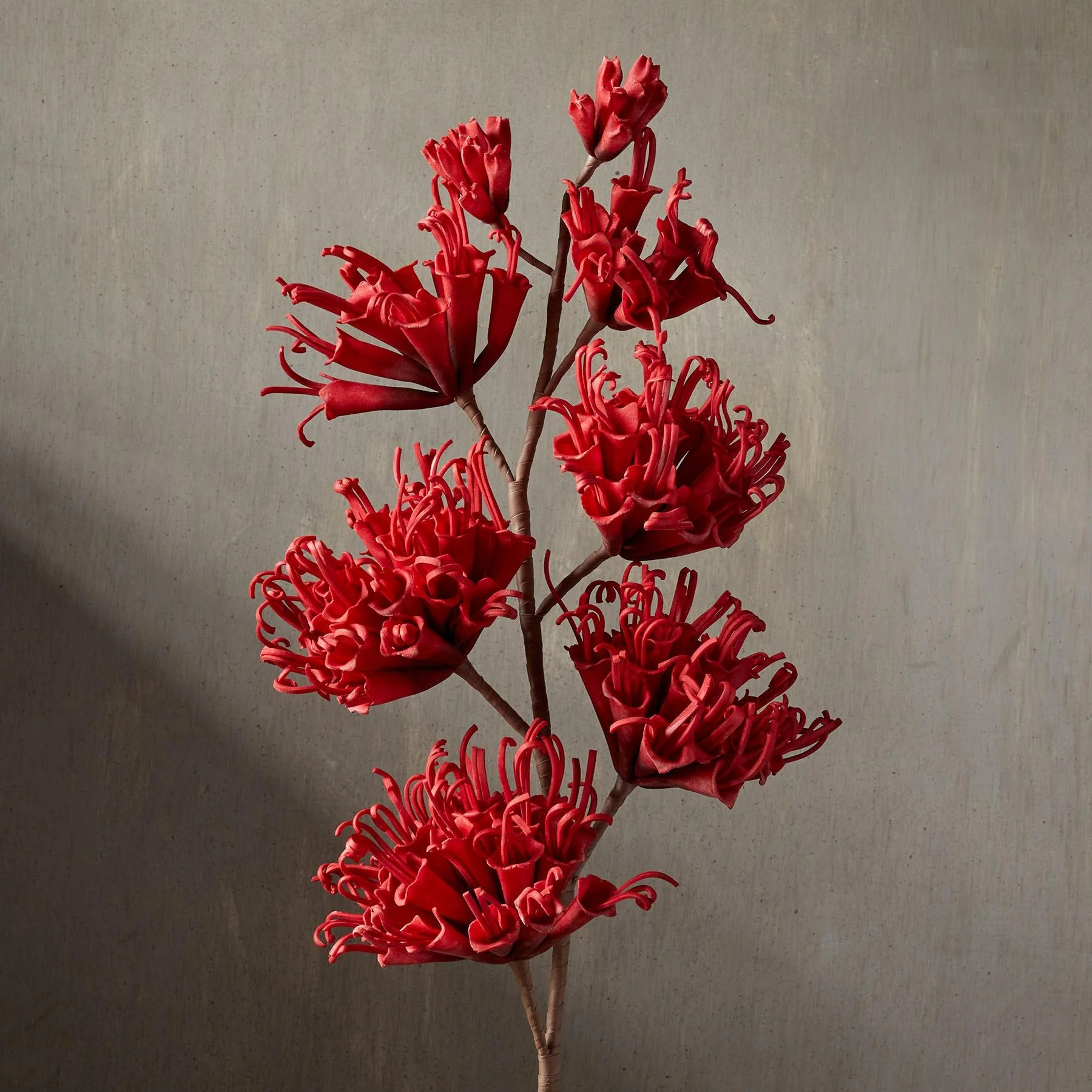 Bountiful Botanicals