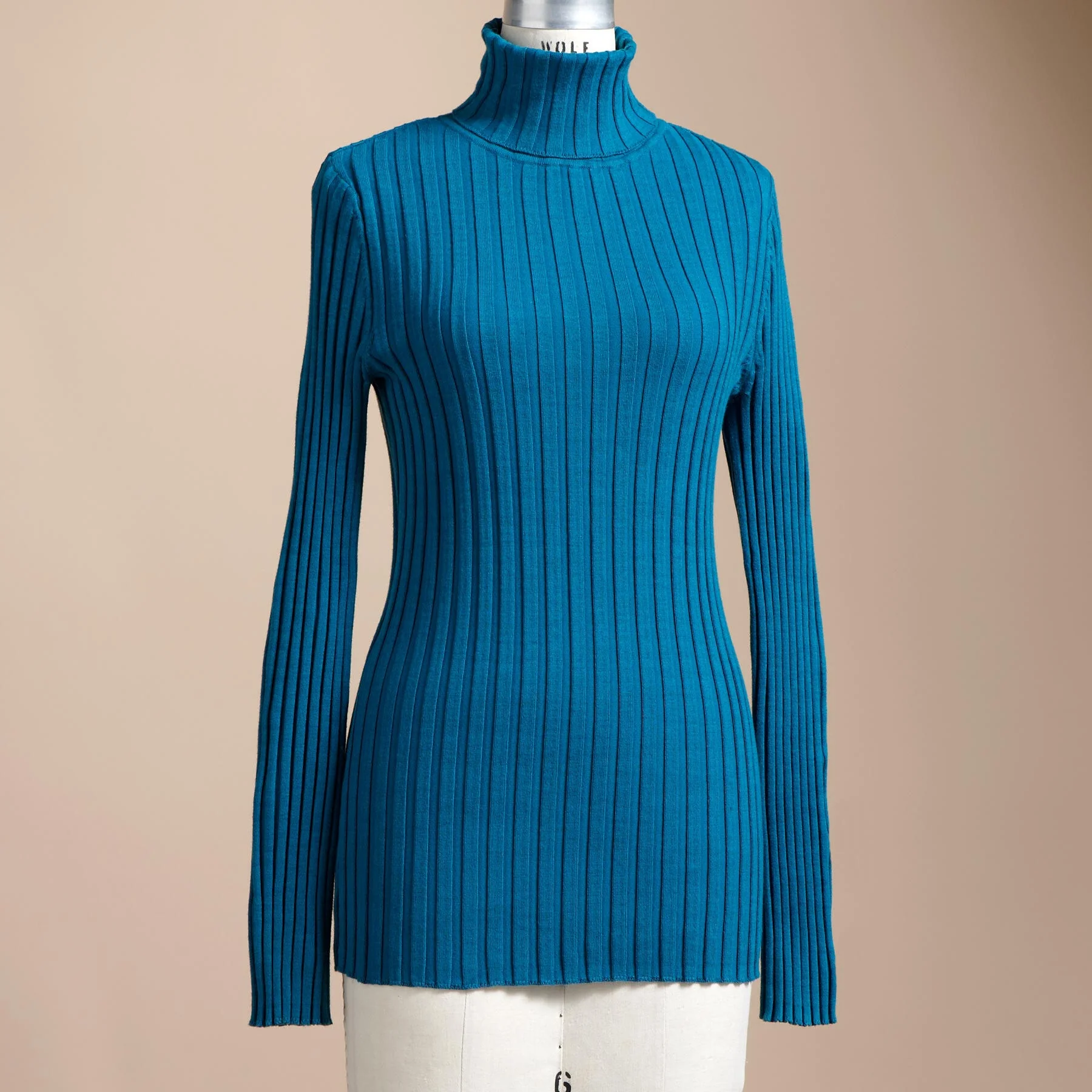 Legends Turtleneck, Petite