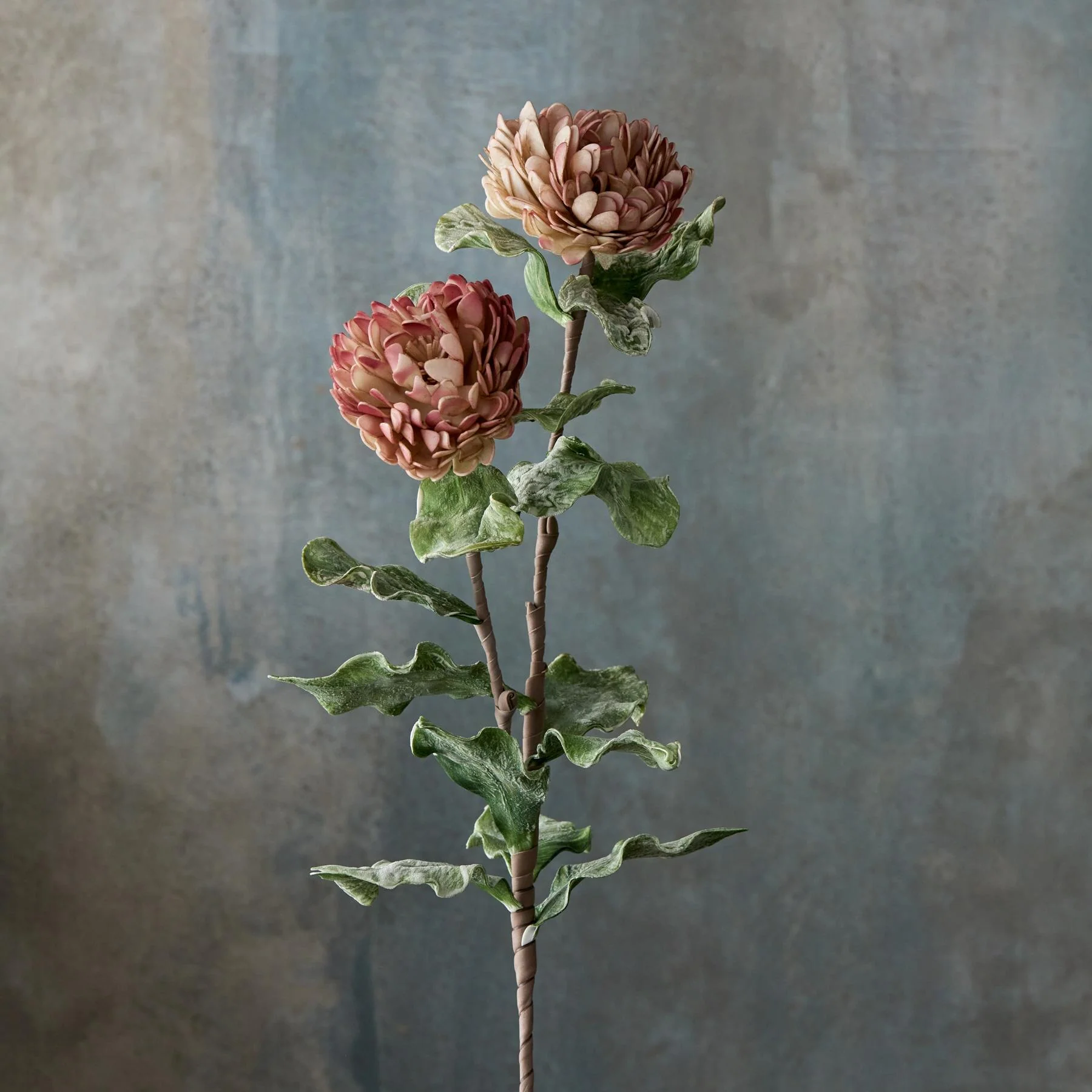 Bountiful Botanicals