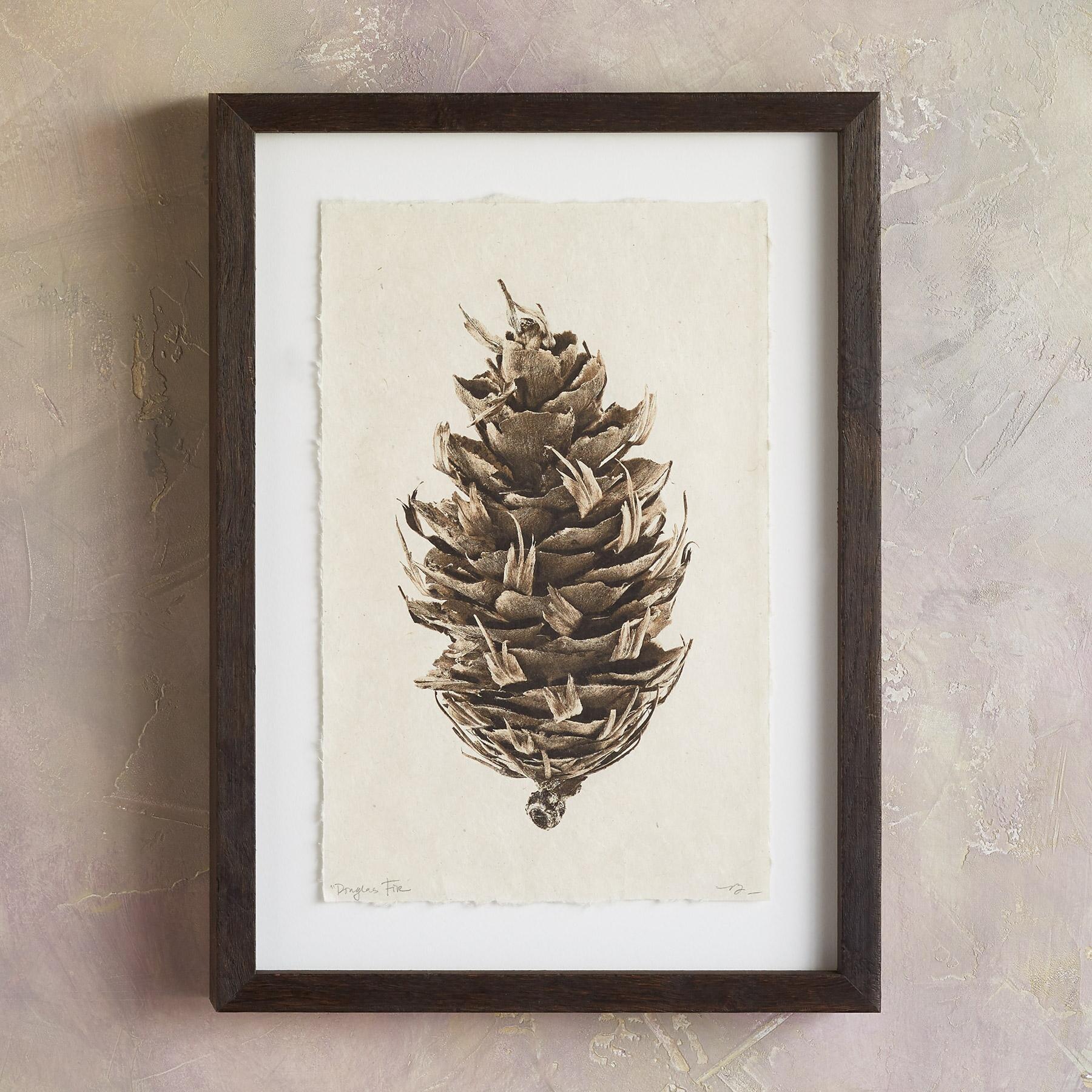 Pinecone Studies Print