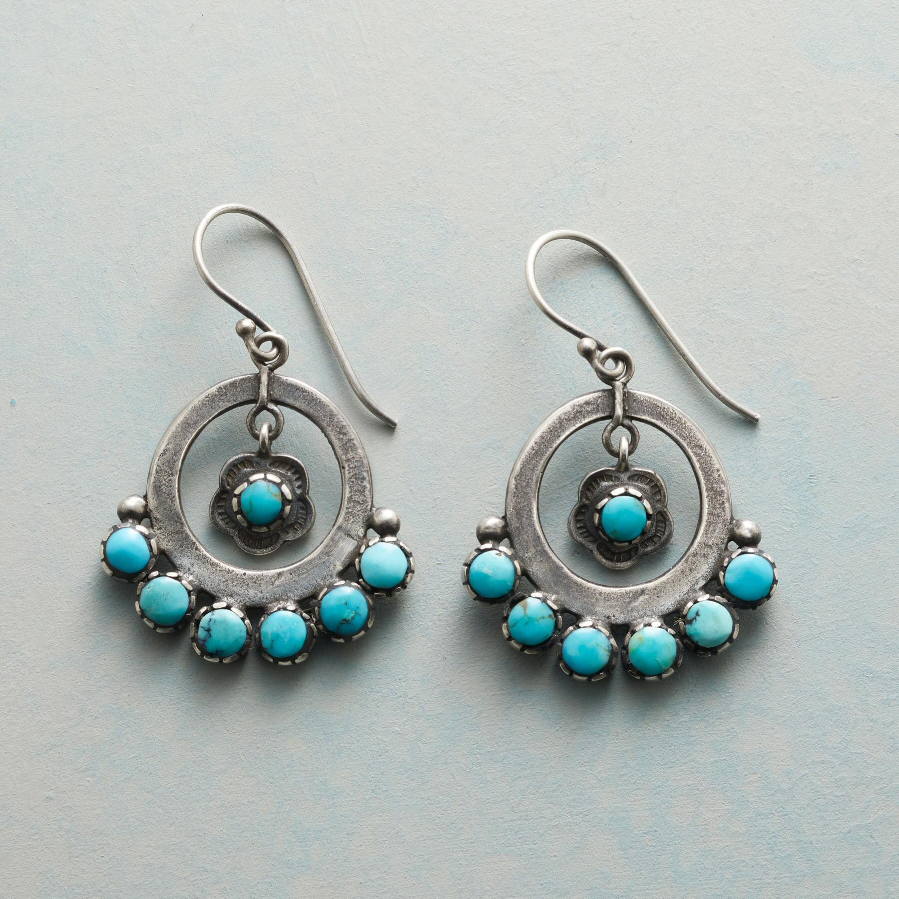 Splendor In The Southwest Earrings