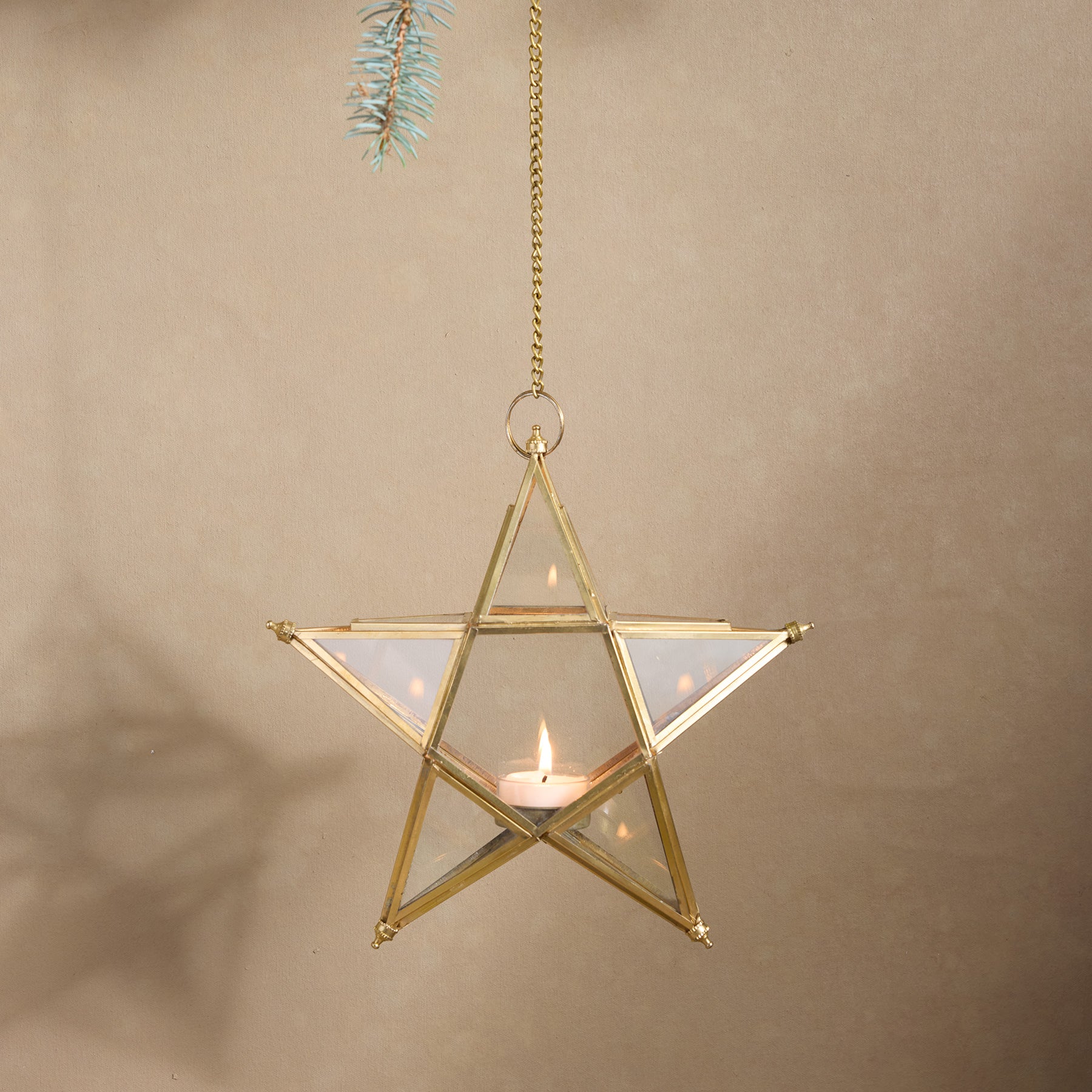 Starlit Wonder Luminary